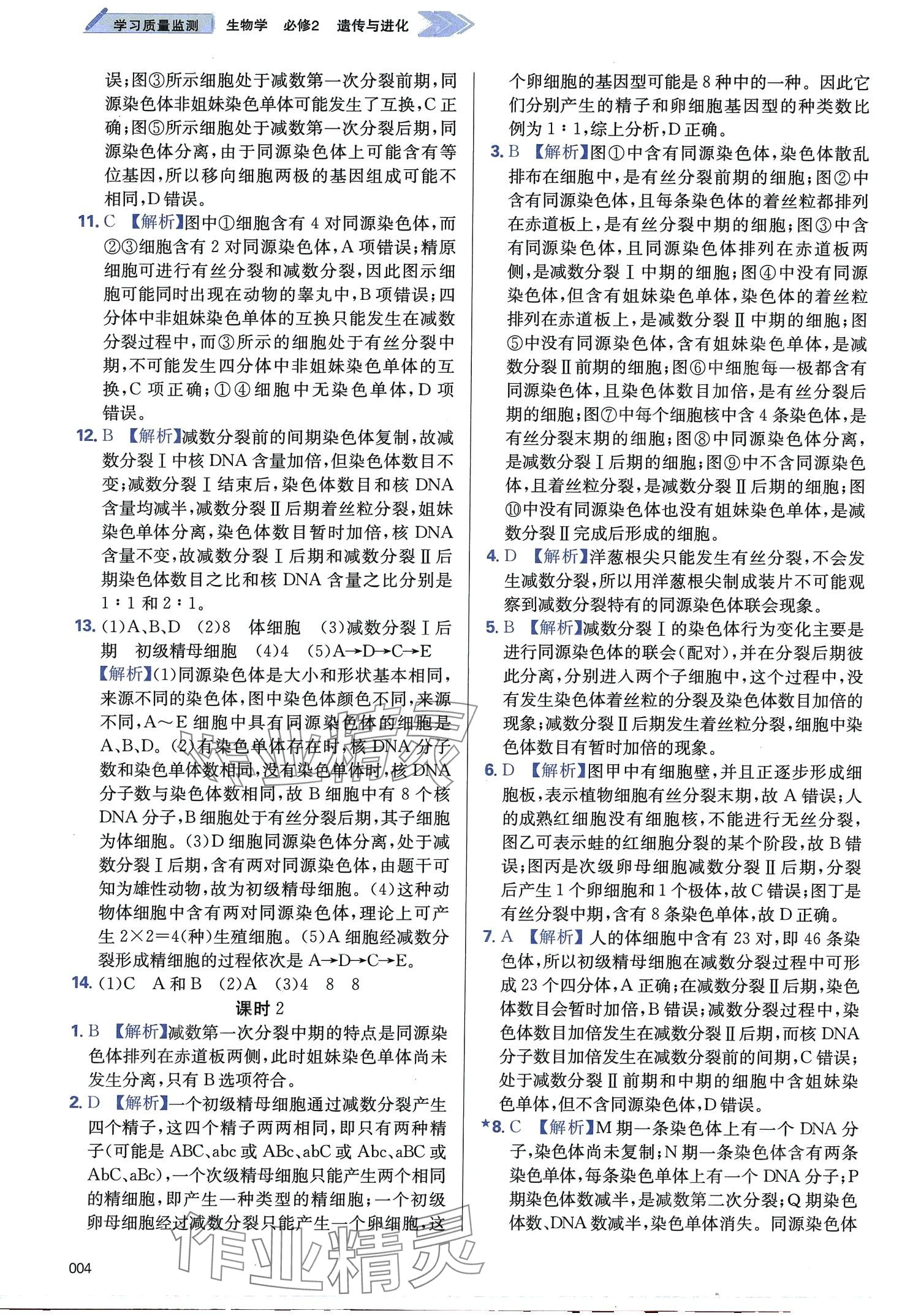 2024年學習質(zhì)量監(jiān)測高中生物必修2人教版 第4頁