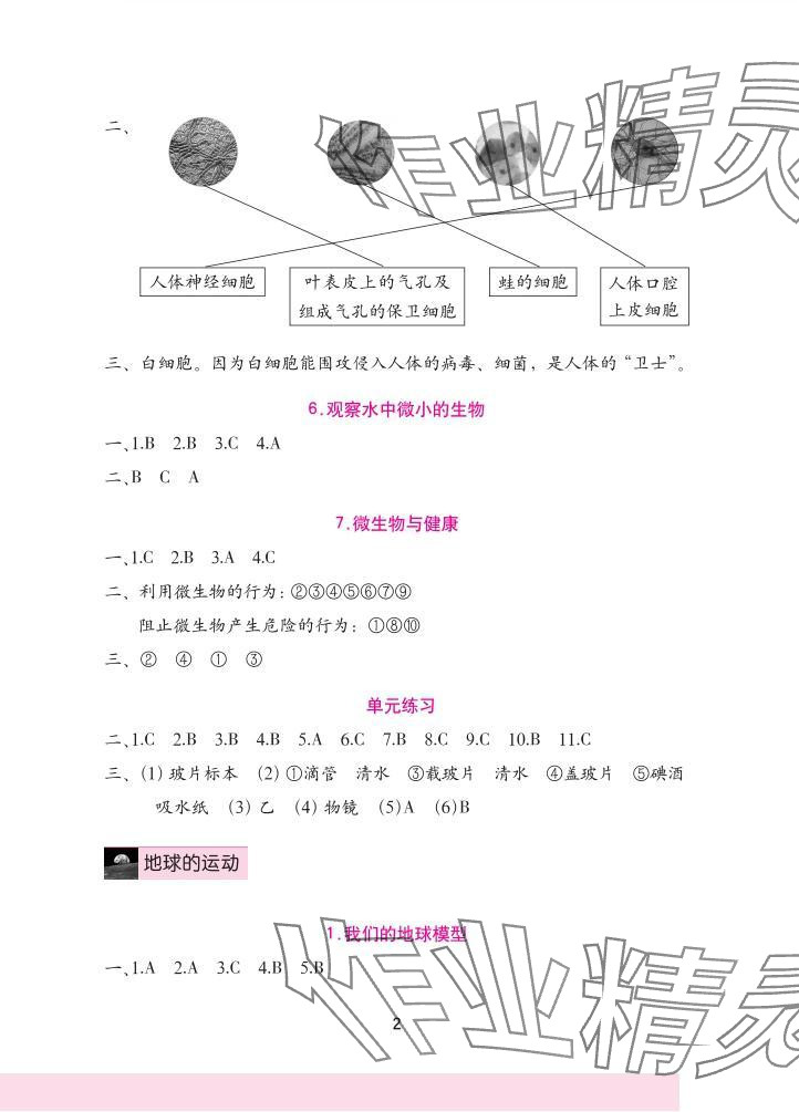 2025年学习与巩固六年级科学上册教科版 参考答案第2页