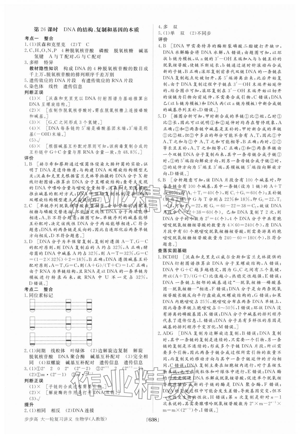 2025年步步高大一輪復習講義高中生物 第30頁