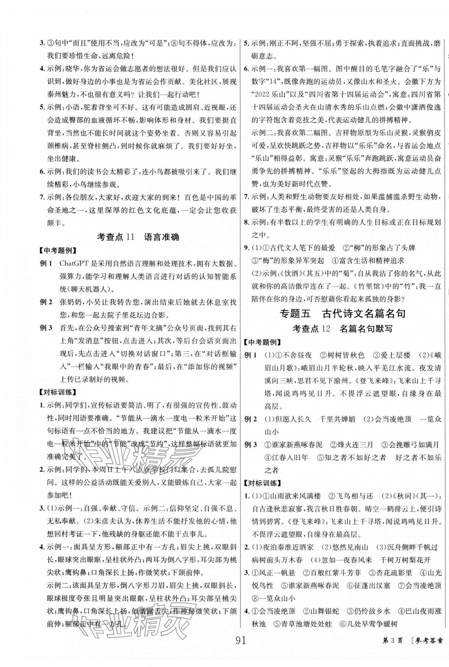 2024年全效學(xué)習(xí)中考總復(fù)習(xí)語文四川專版&nbsp;第3頁