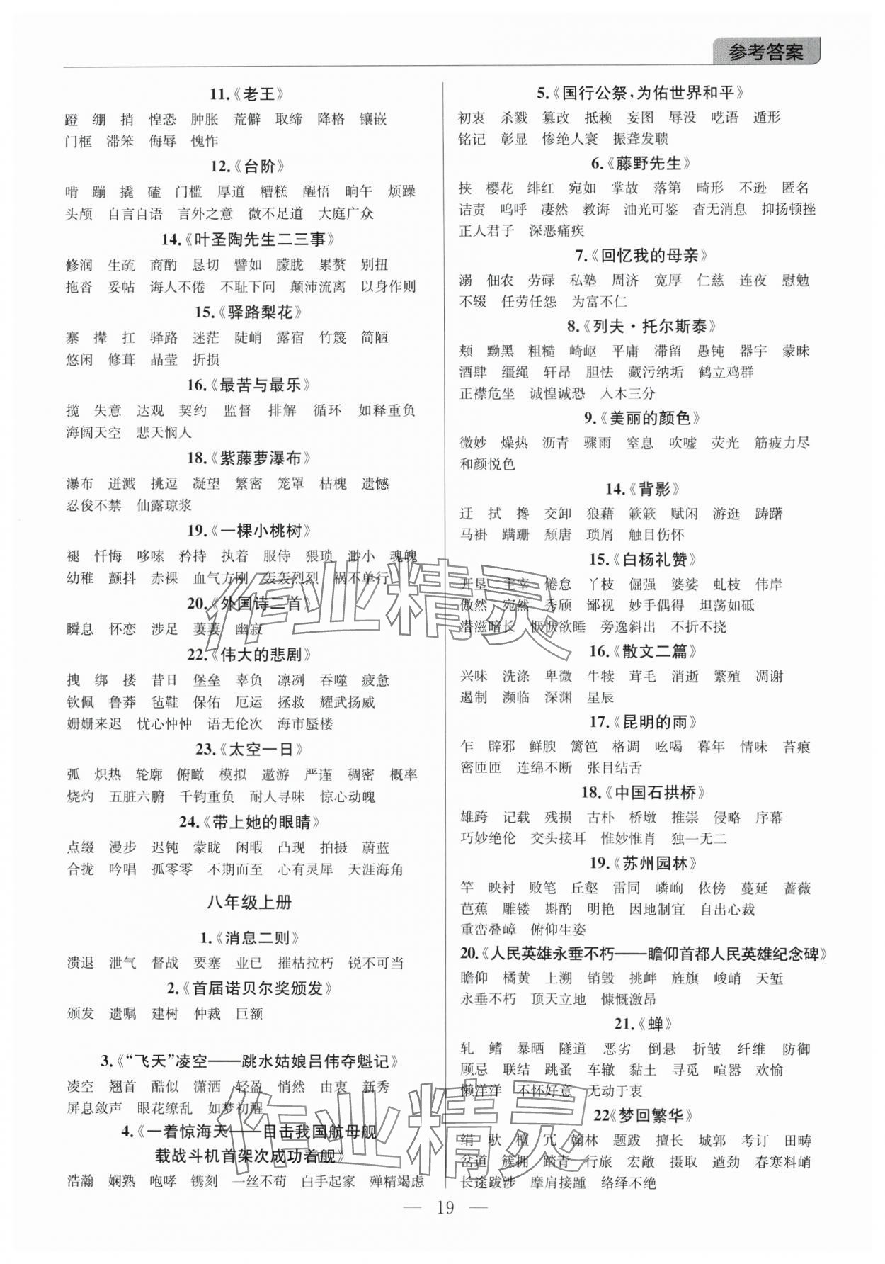 2025年廣東名師講練通中考總復(fù)習(xí)語文 第19頁