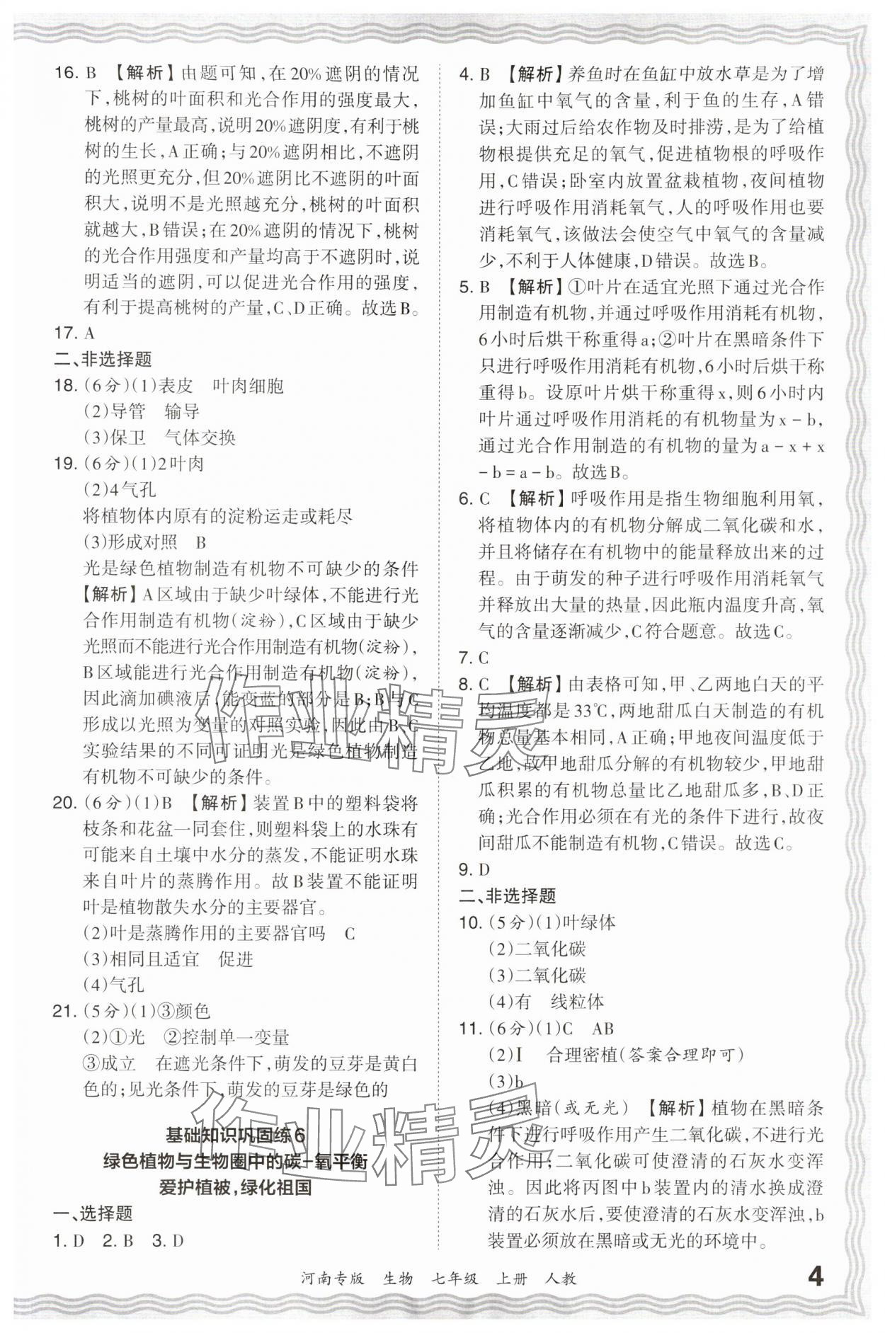 2023年王朝霞各地期末试卷精选七年级生物上册人教版河南专版 参考答案第4页