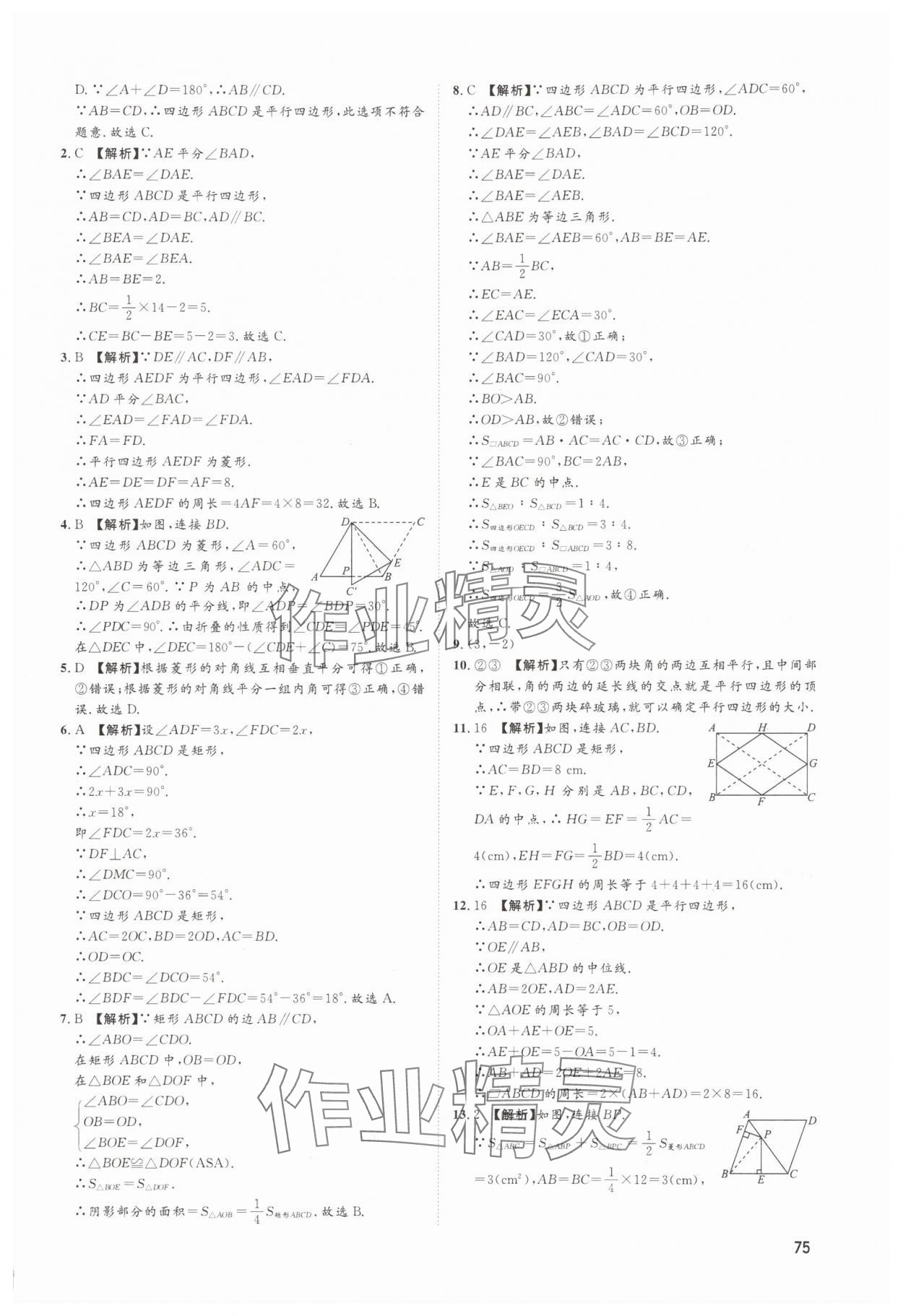 2025年鲁人泰斗假期好时光八年级数学青岛版 第3页