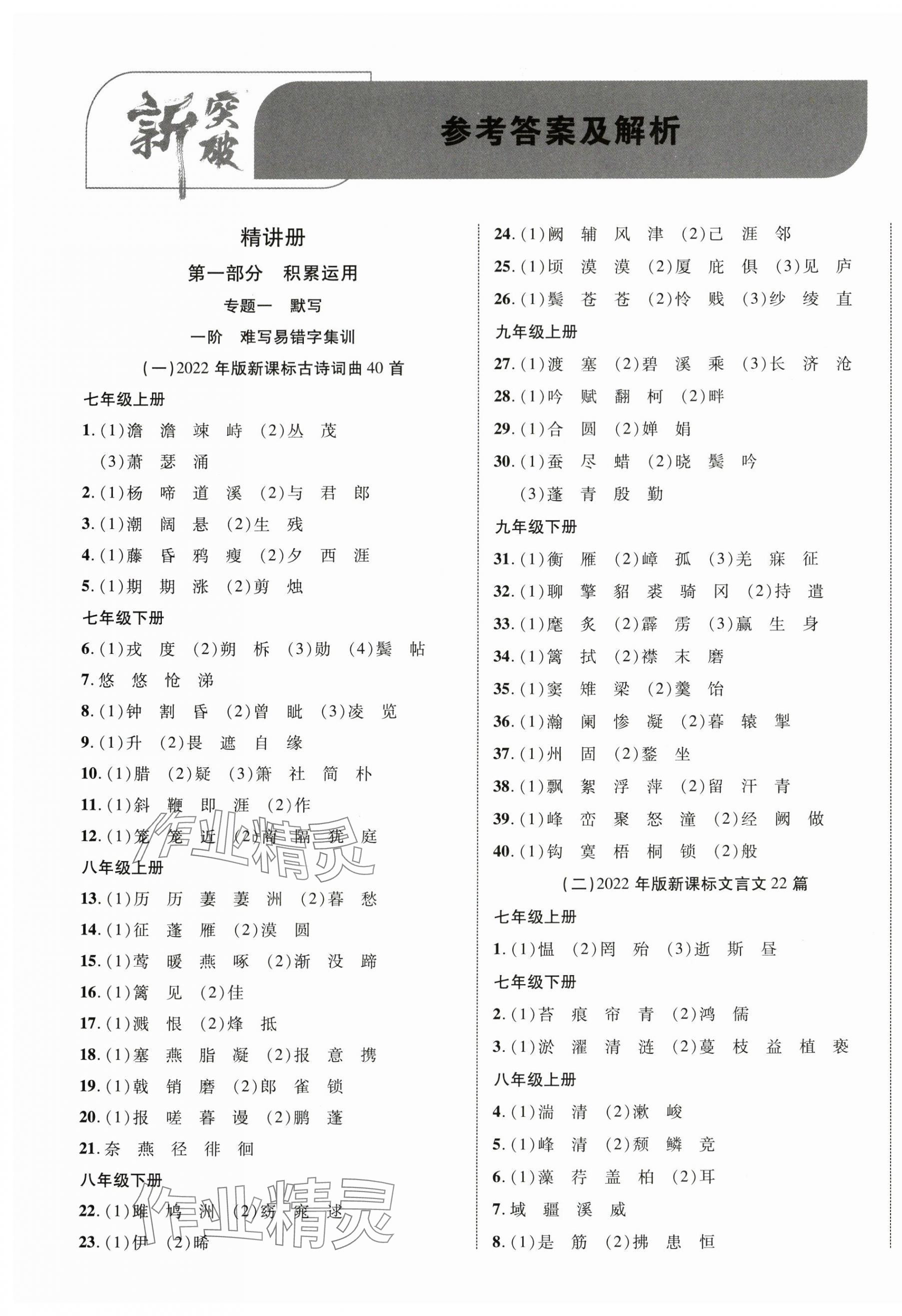 2025年中考新突破语文宁夏专版 第1页
