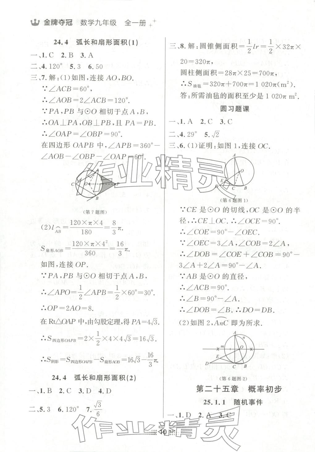 2025年点石成金金牌夺冠九年级数学全一册人教版辽宁专版&nbsp;第10页