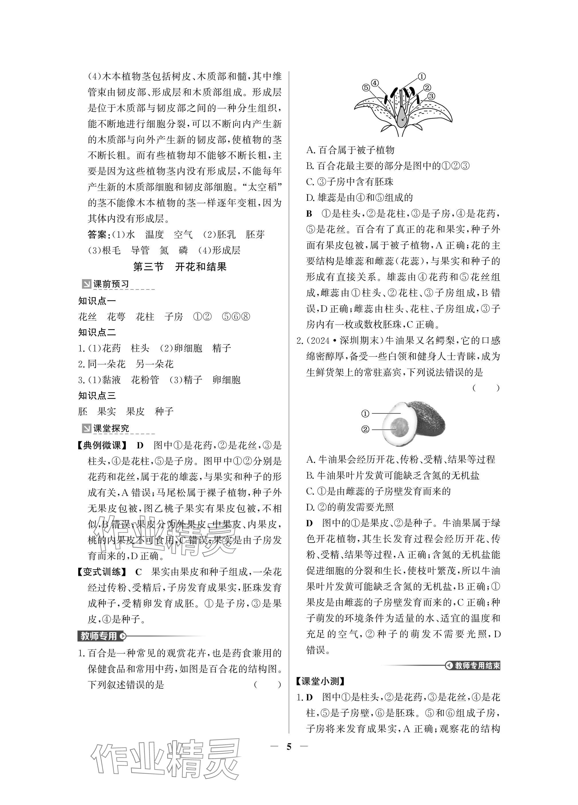 2025年南方新課堂金牌學案七年級生物下冊人教版深圳專版 參考答案第5頁