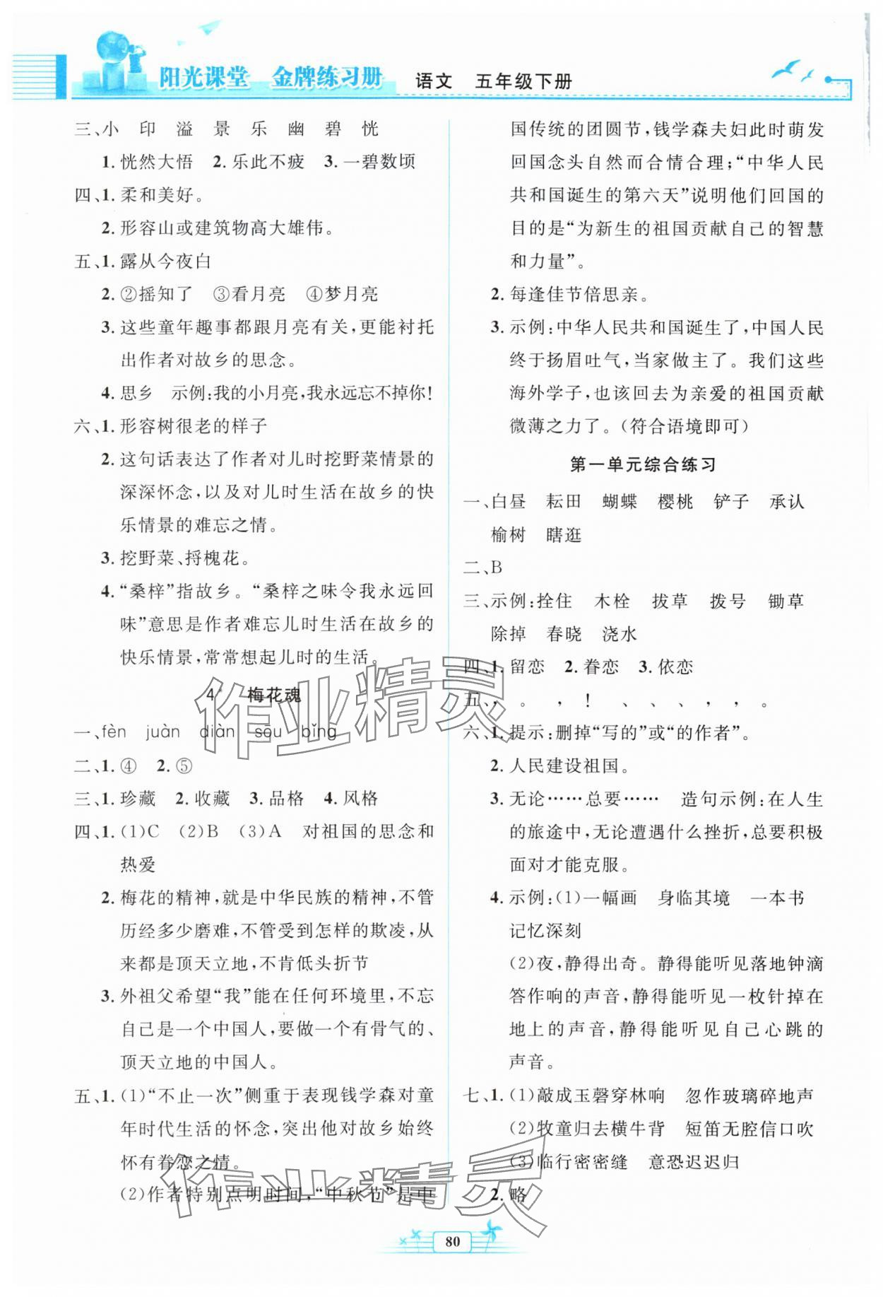 2024年阳光课堂金牌练习册五年级语文下册人教版 第2页