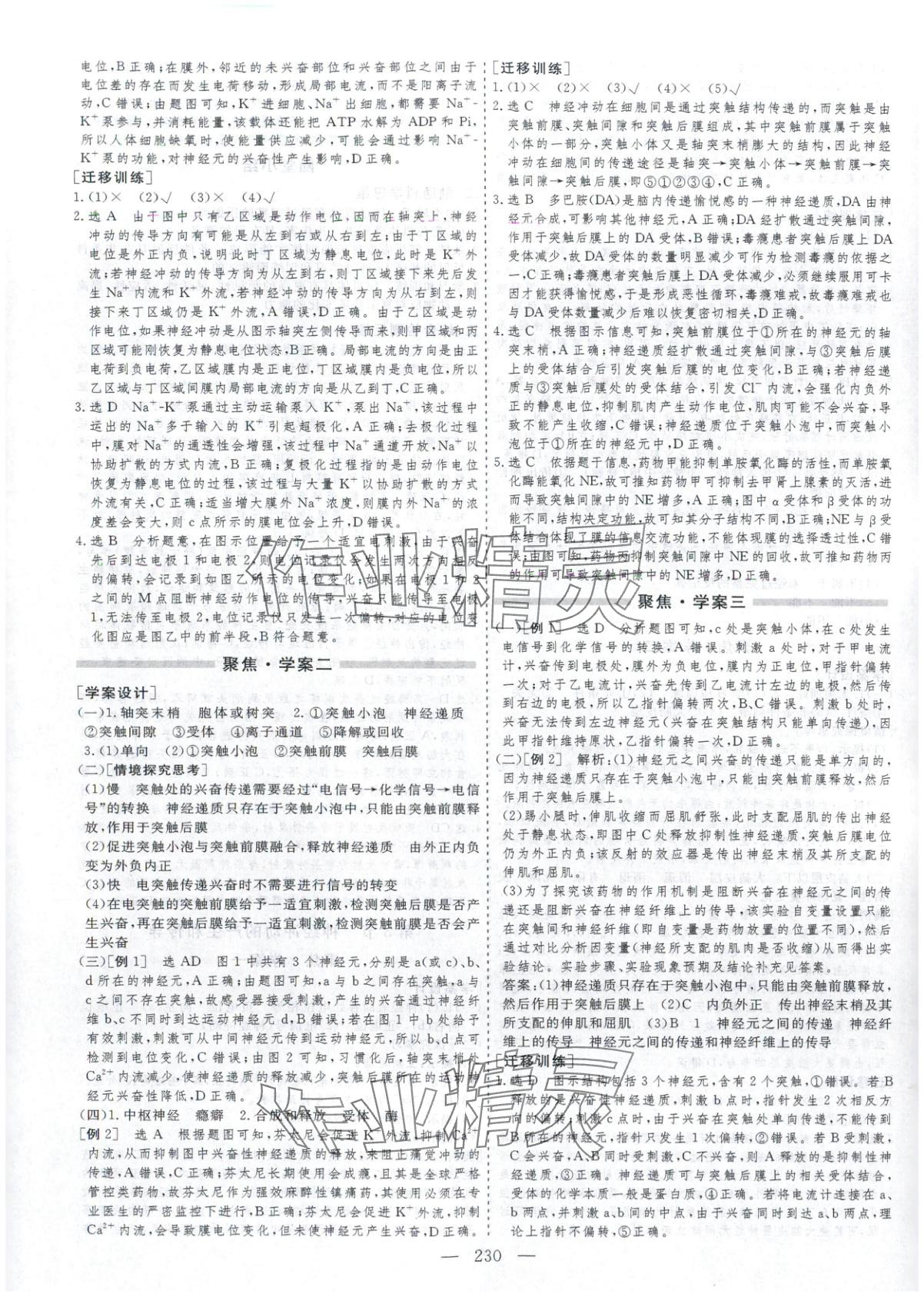 2025年芝麻开花美在课堂高二生物选择性必修第一册人教版&nbsp;第6页
