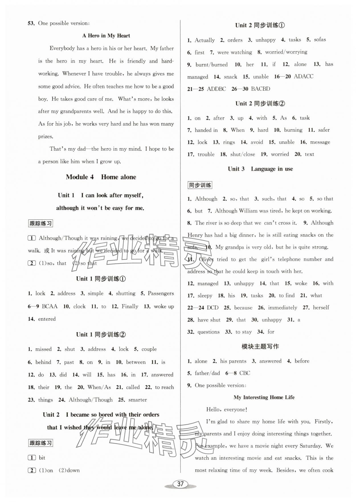 2025年教與學(xué)課程同步講練九年級(jí)英語(yǔ)全一冊(cè)外研版 第5頁(yè)