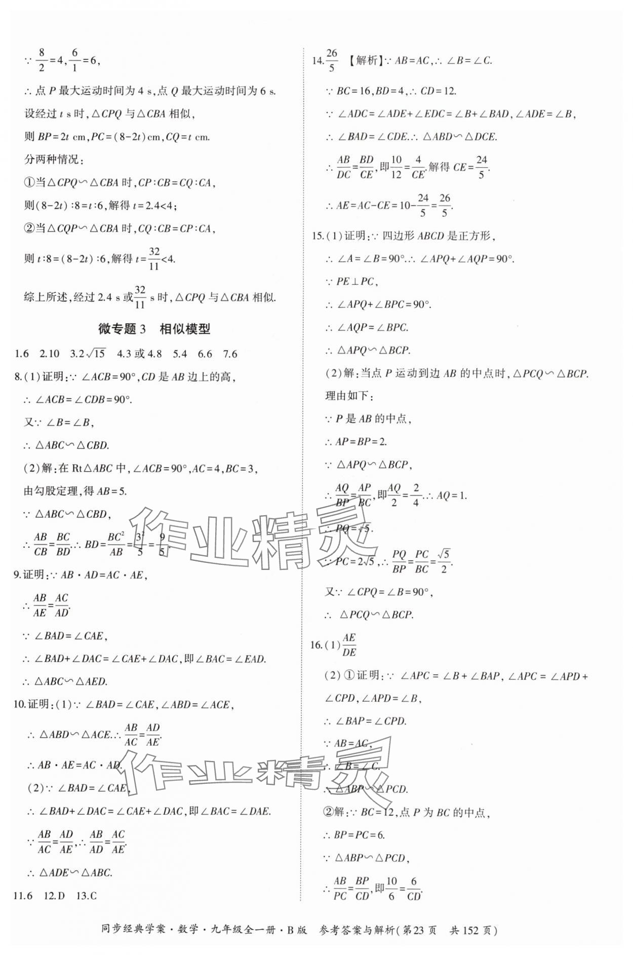 2024年同步經(jīng)典學案九年級數(shù)學全一冊北師大版 第23頁