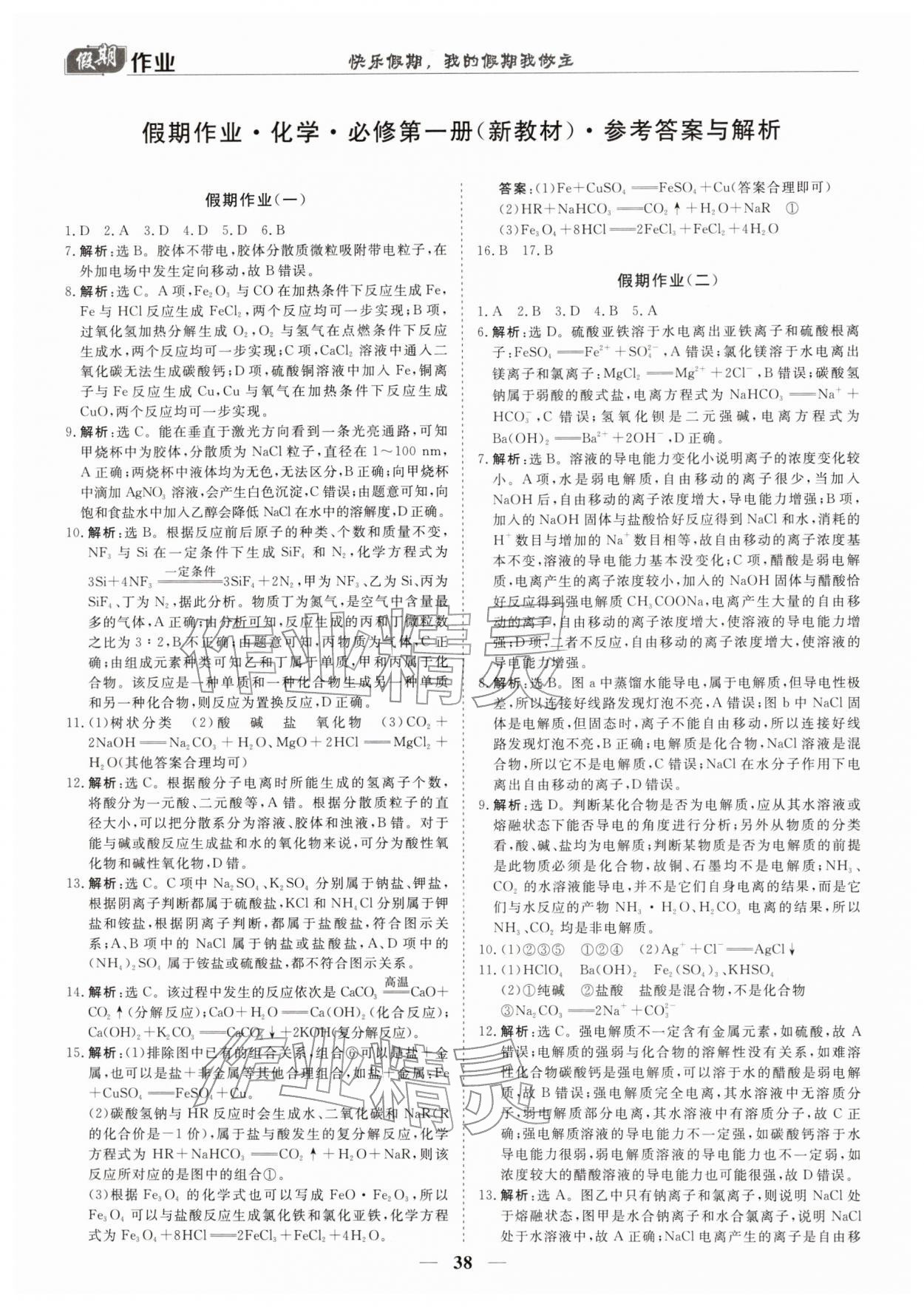 2026年快乐假期崇文书局高一化学&nbsp;第2页