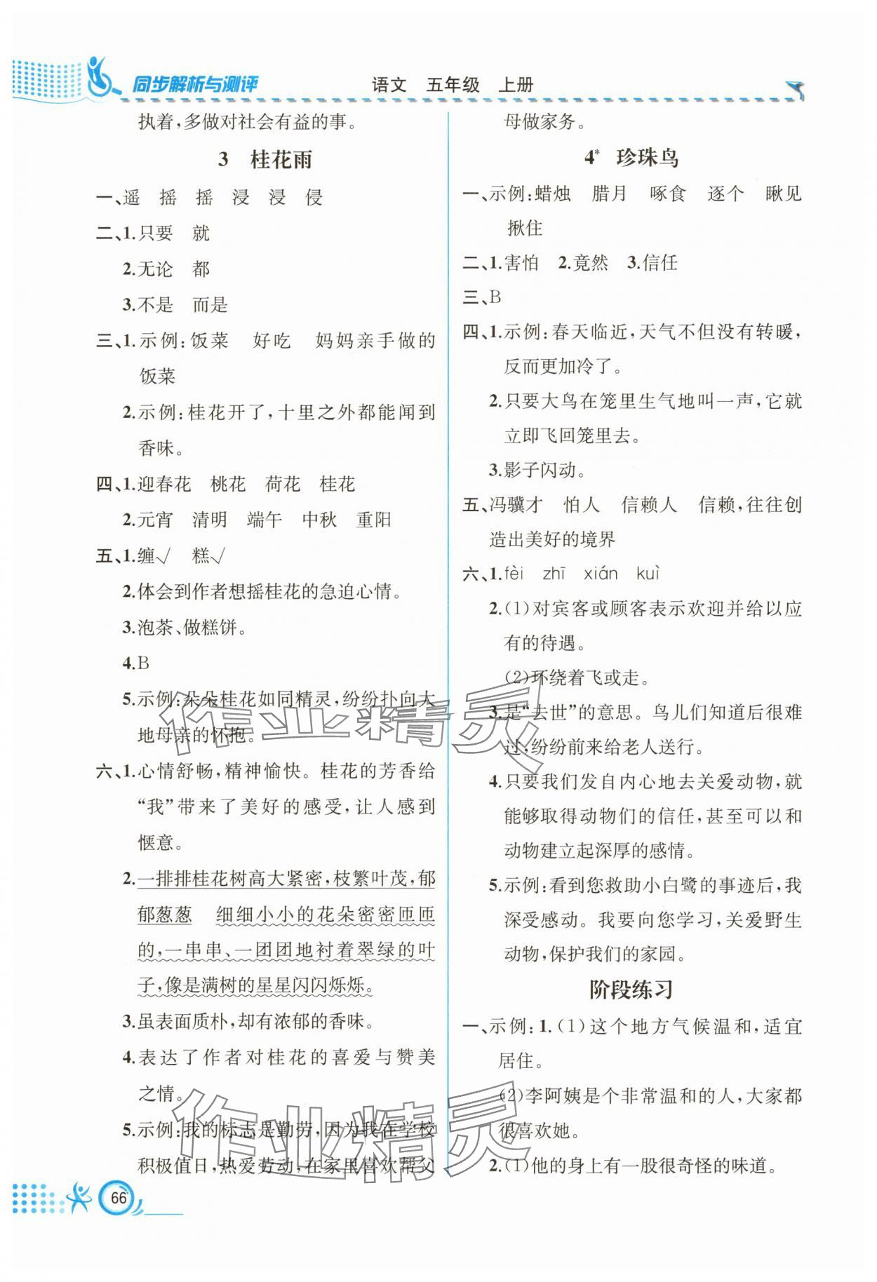 2025年人教金学典同步解析与测评五年级语文上册人教版福建专版 第2页