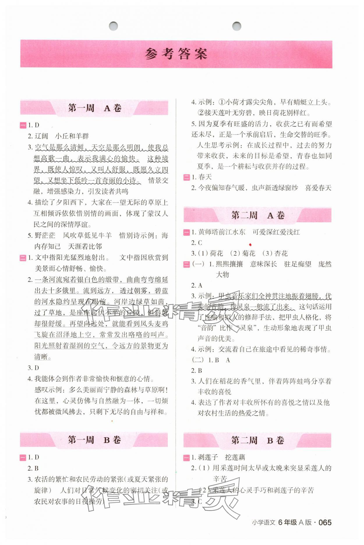2025年木头马阅读小卷六年级语文A版 第1页