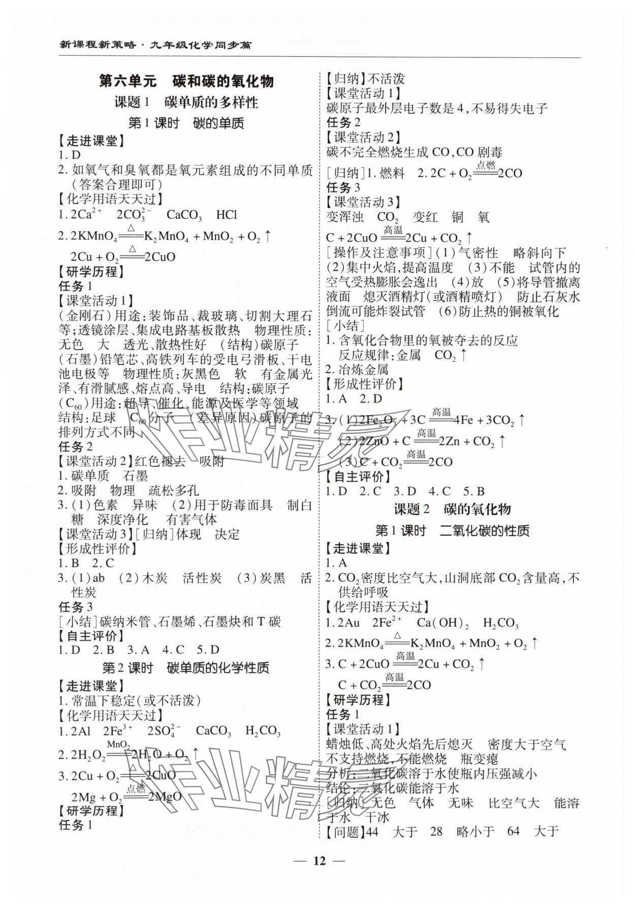 2024年新课程新策略复习篇九年级化学&nbsp;第12页