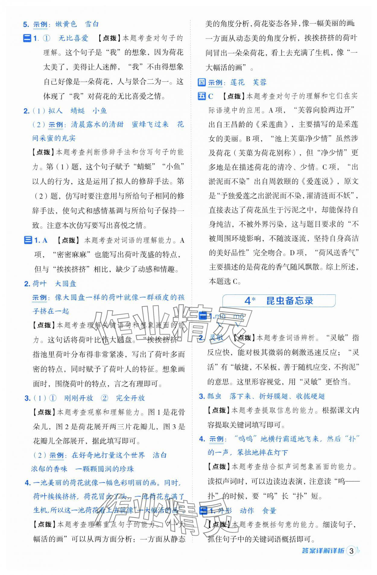 2025年綜合應(yīng)用創(chuàng)新題典中點三年級語文下冊人教版浙江專版 第3頁