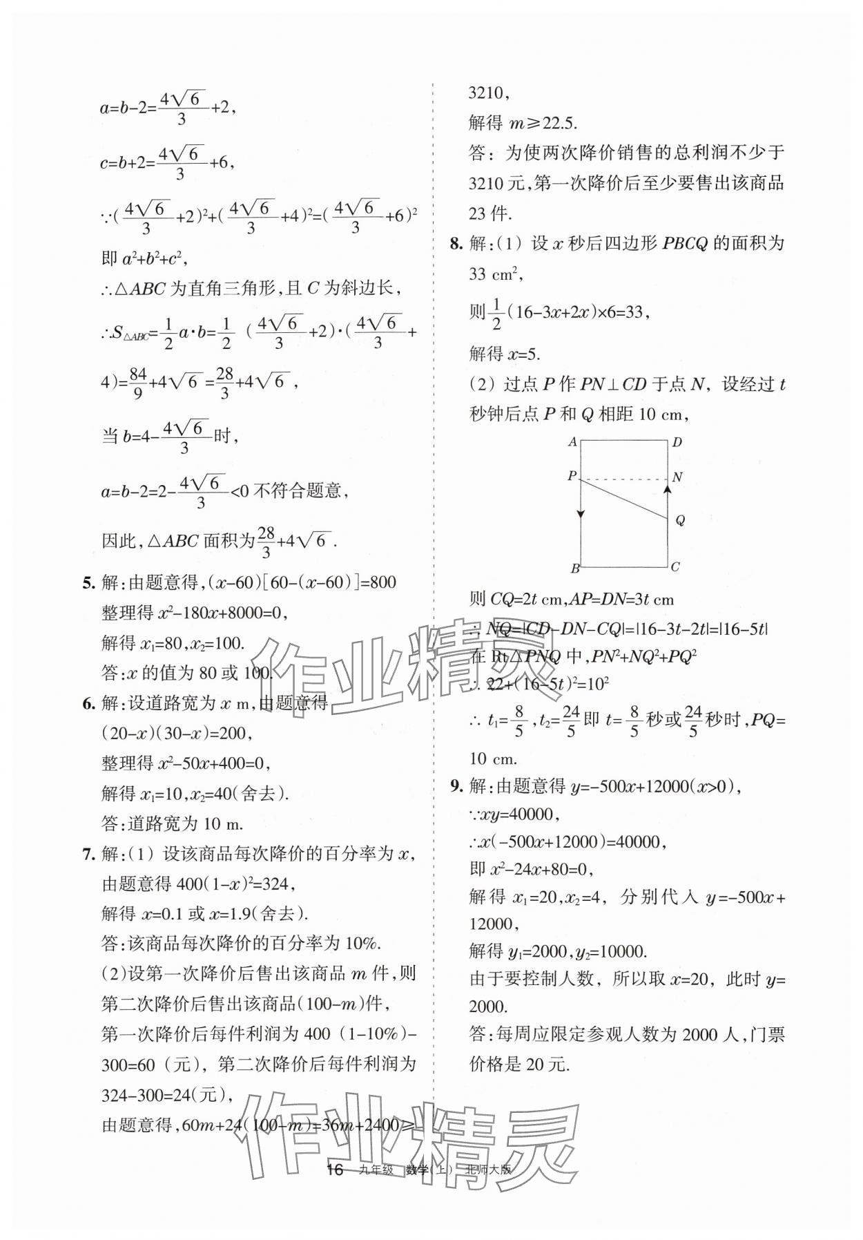 2024年学习之友九年级数学上册北师大版 参考答案第16页