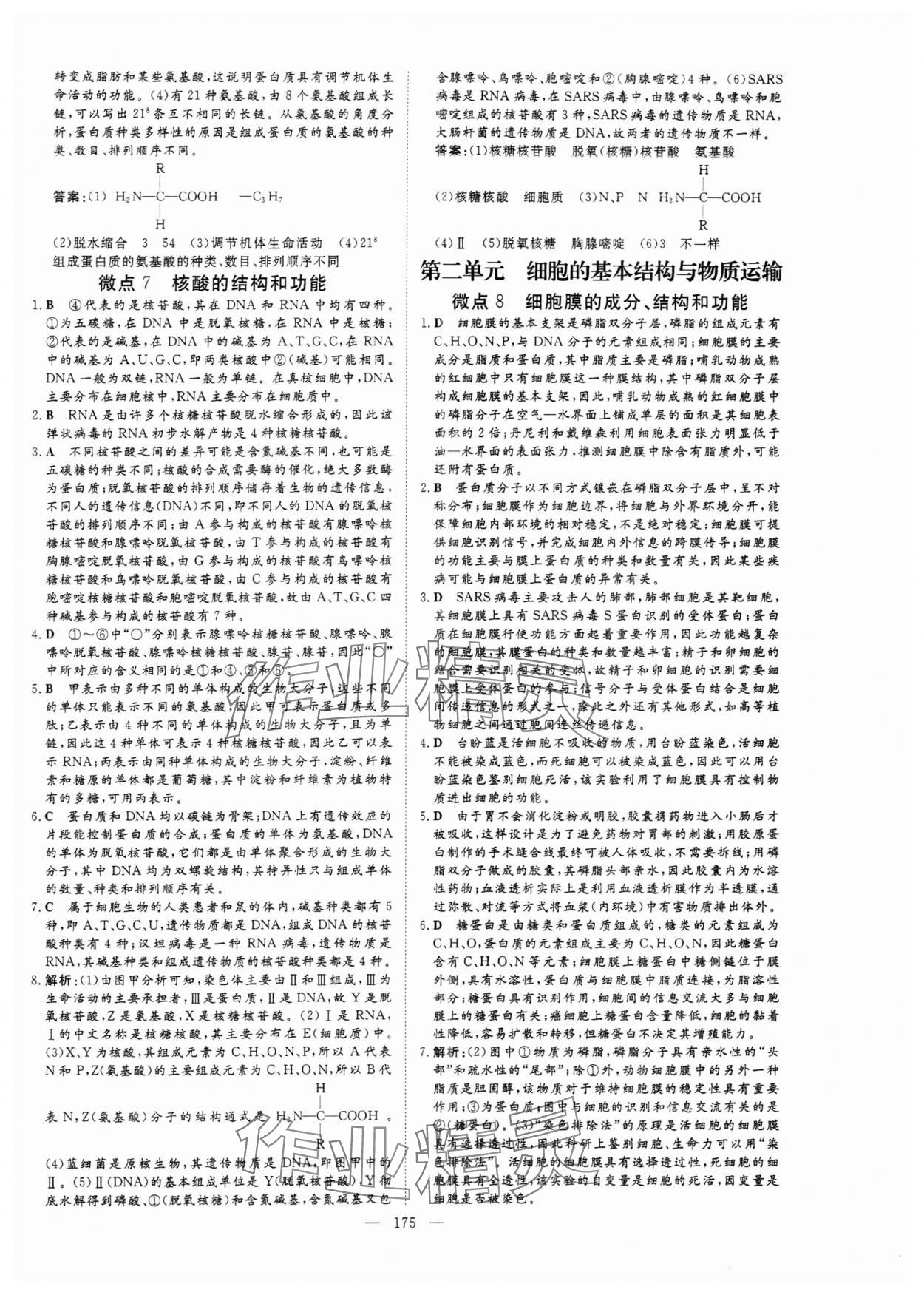 2024年高中總復(fù)習(xí)微點(diǎn)小練習(xí)高中生物 參考答案第4頁