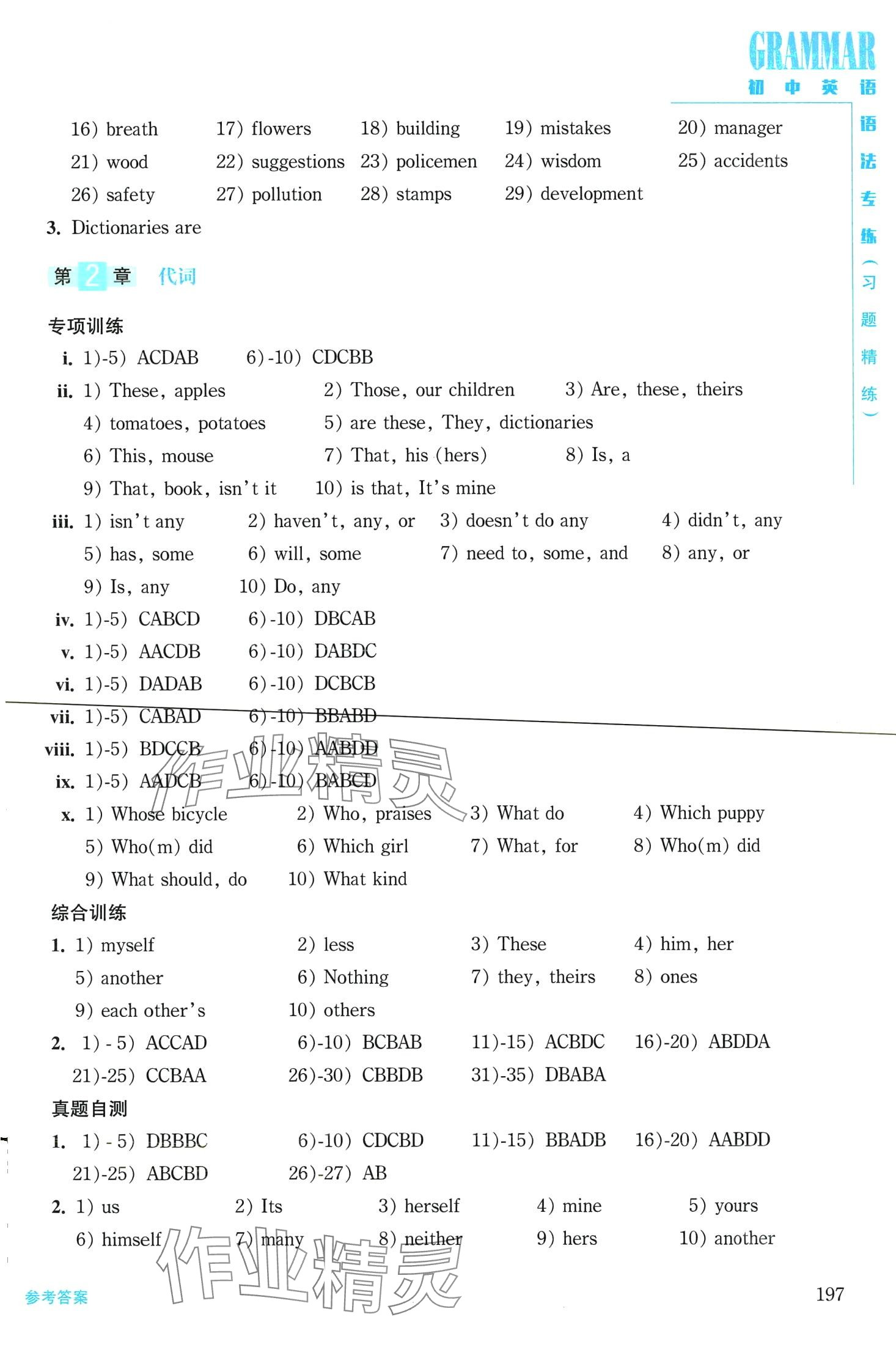 2024年初中英語語法專練九年級(jí)全一冊(cè) 第2頁