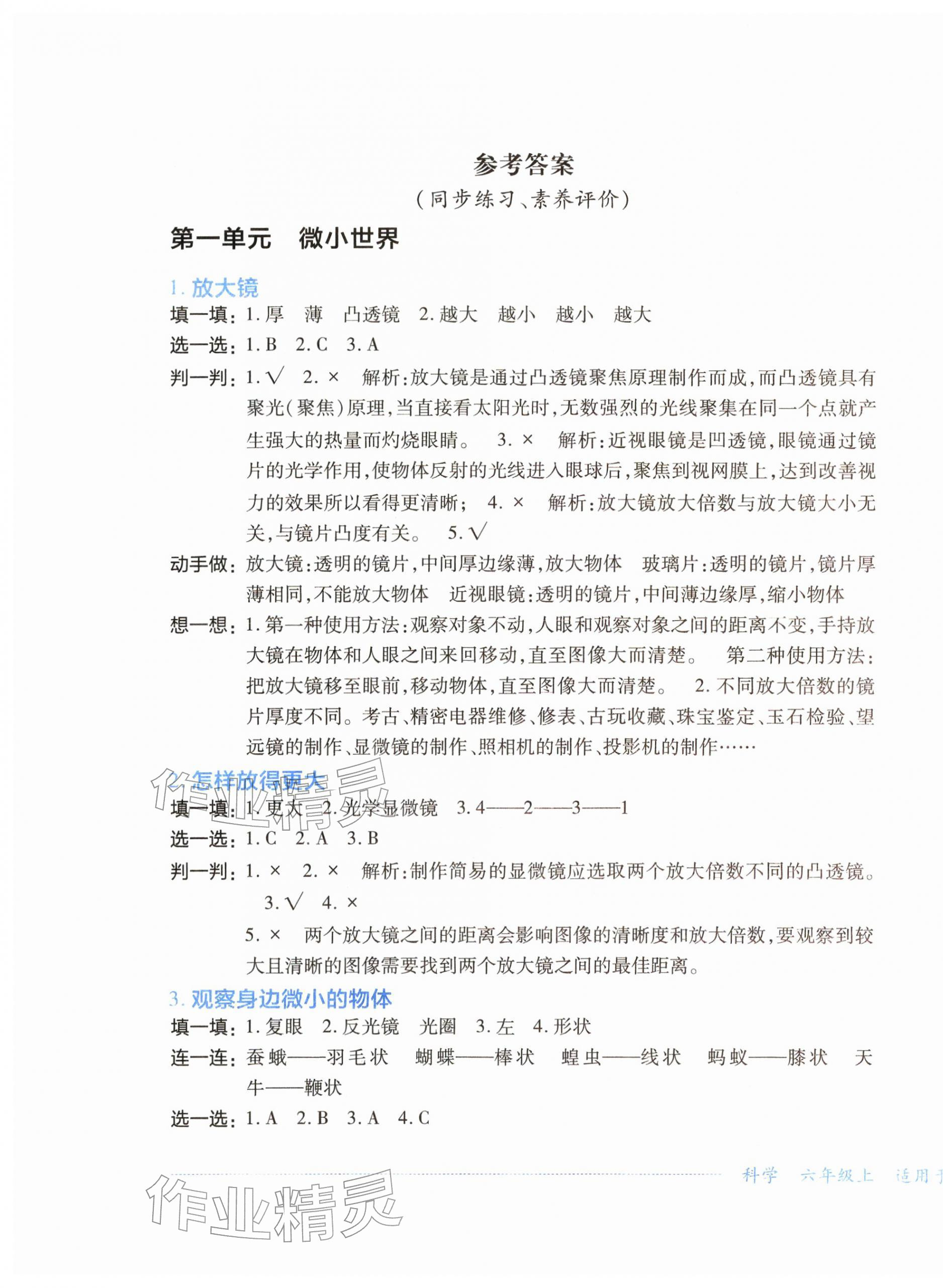 2025年学习实践园地六年级科学上册教科版 第1页