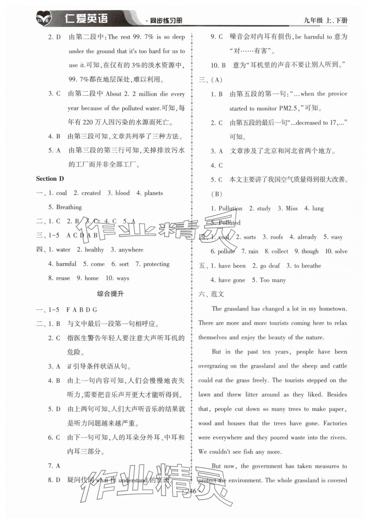 2025年仁爱英语同步练习册九年级英语全一册仁爱版 第10页