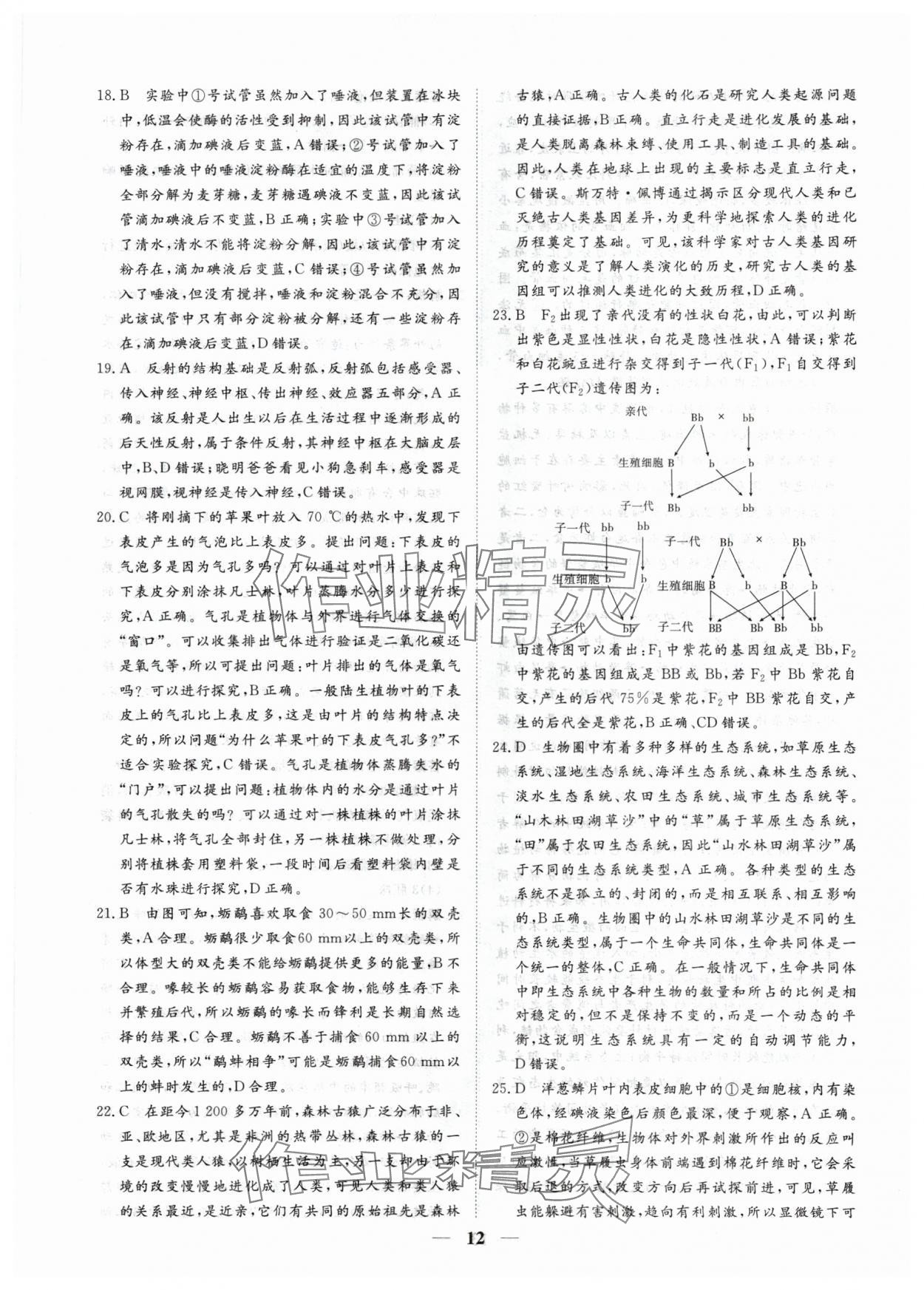 2024年風(fēng)向標(biāo)初中學(xué)業(yè)水平測試山東省各地市中考試題匯編生物 參考答案第12頁