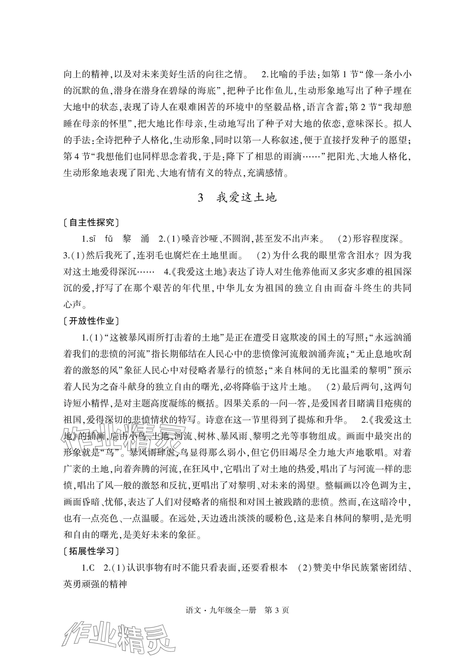 2025年自主学习指导课程与测试九年级语文全一册人教版&nbsp;参考答案第3页