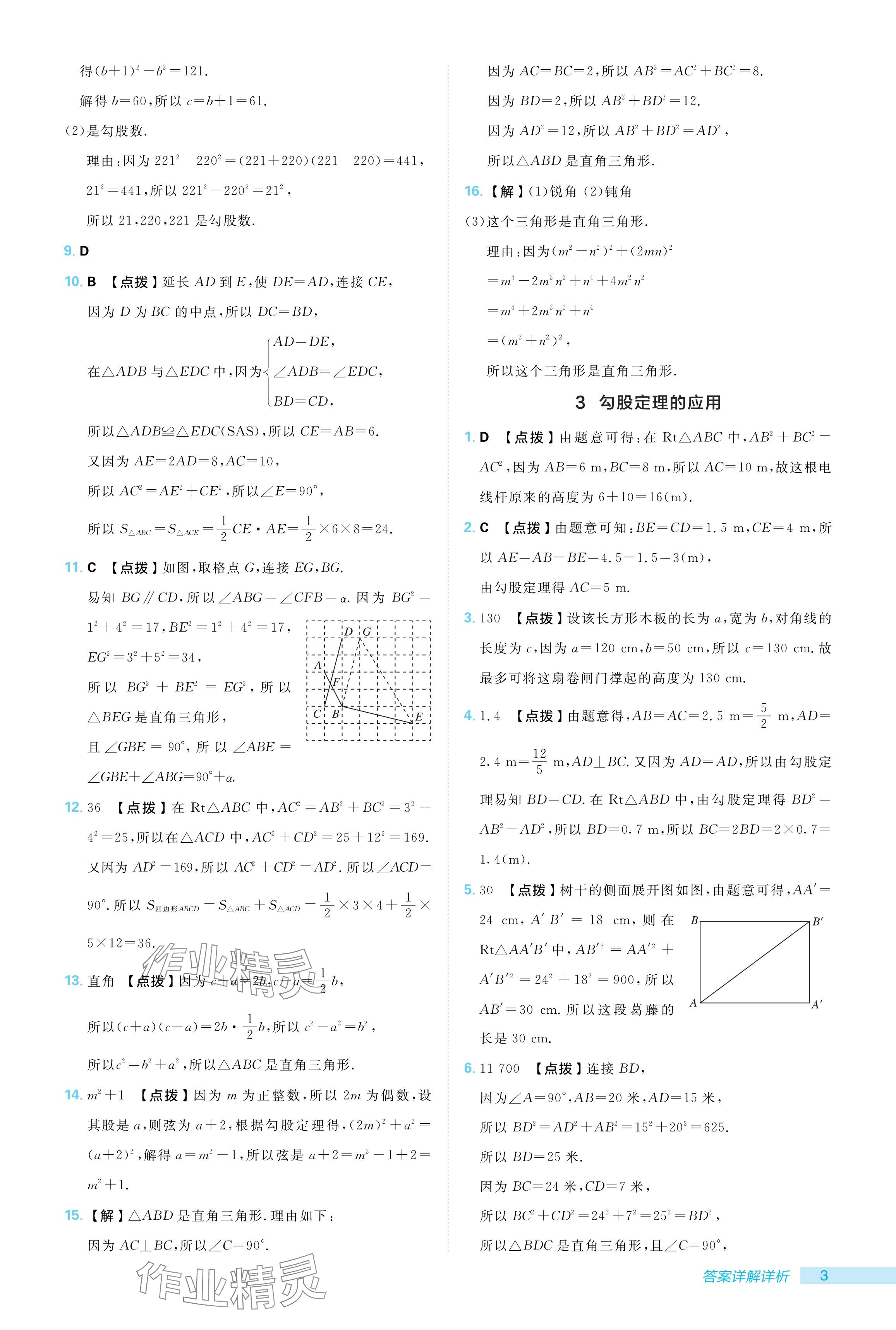 2024年綜合應(yīng)用創(chuàng)新題典中點八年級數(shù)學(xué)上冊北師大版 參考答案第3頁