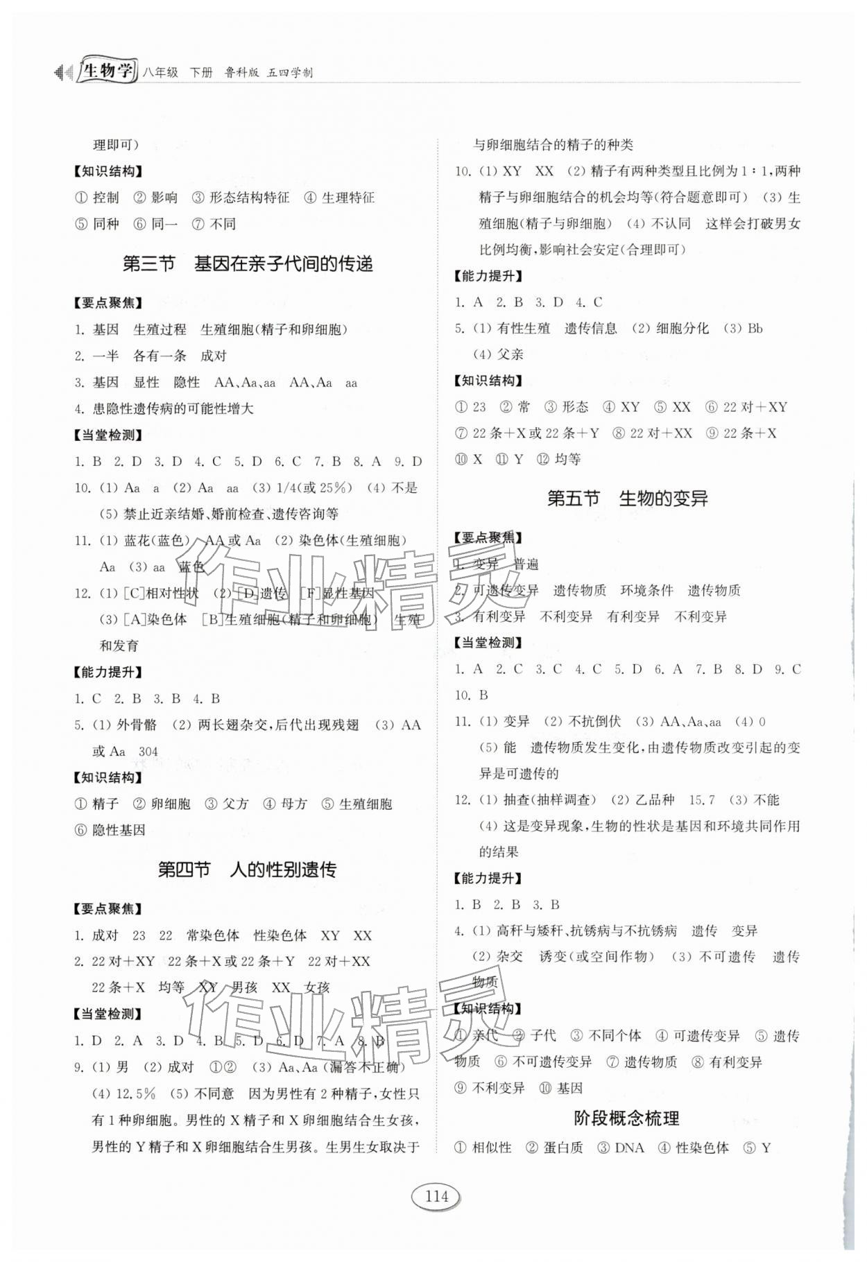 2026年初中同步练习册山东八年级生物下册鲁科版五四制科学技术出版社&nbsp;参考答案第3页