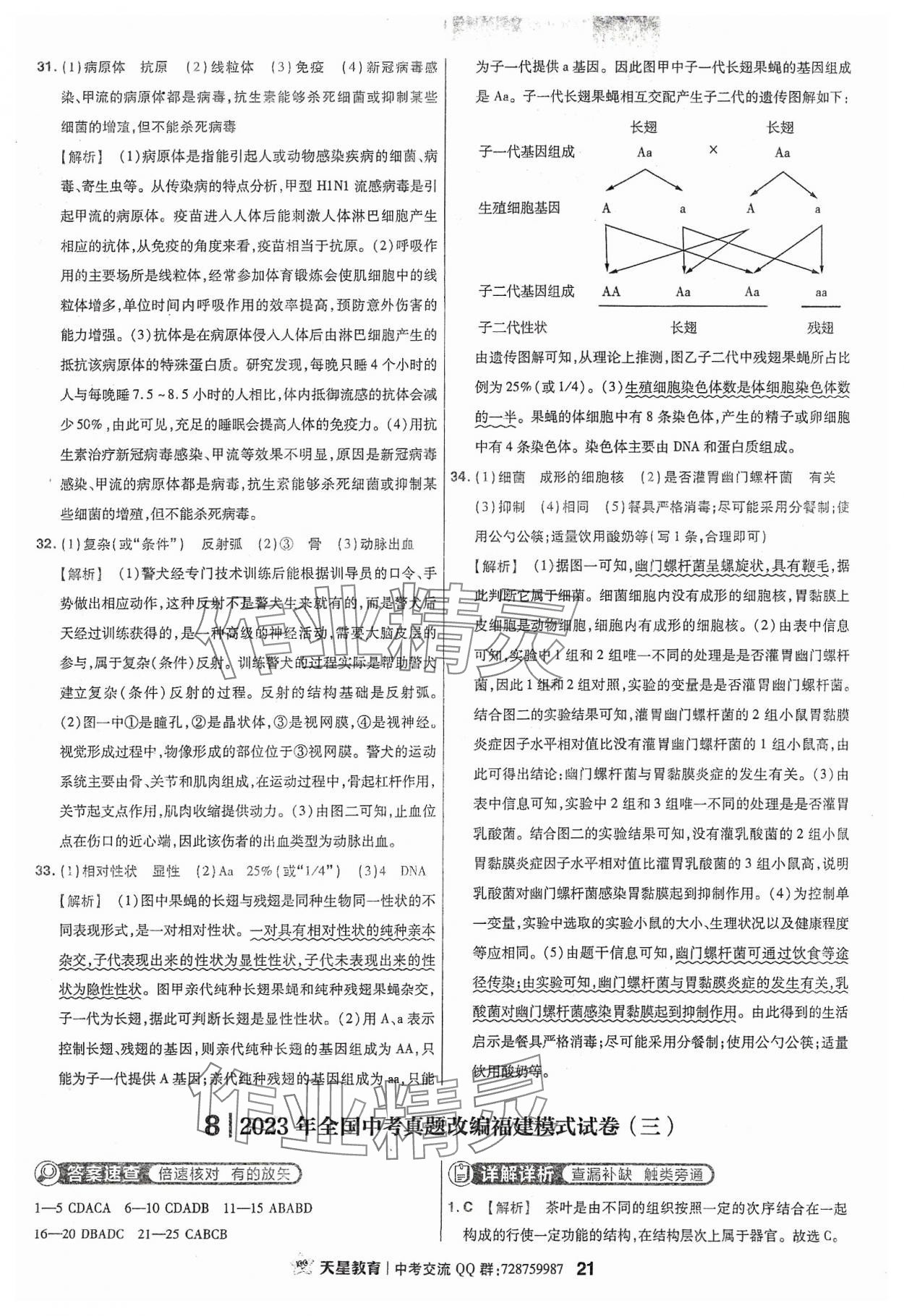 2024年金考卷福建中考45套匯編生物 參考答案第21頁