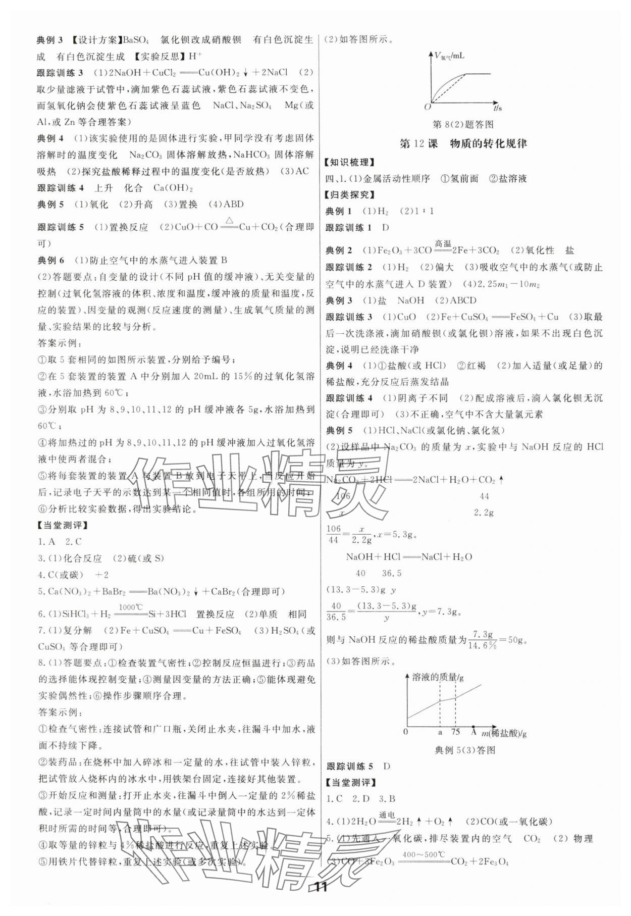 2024年全效學(xué)習(xí)中考學(xué)練測(cè)科學(xué)專題版 參考答案第10頁