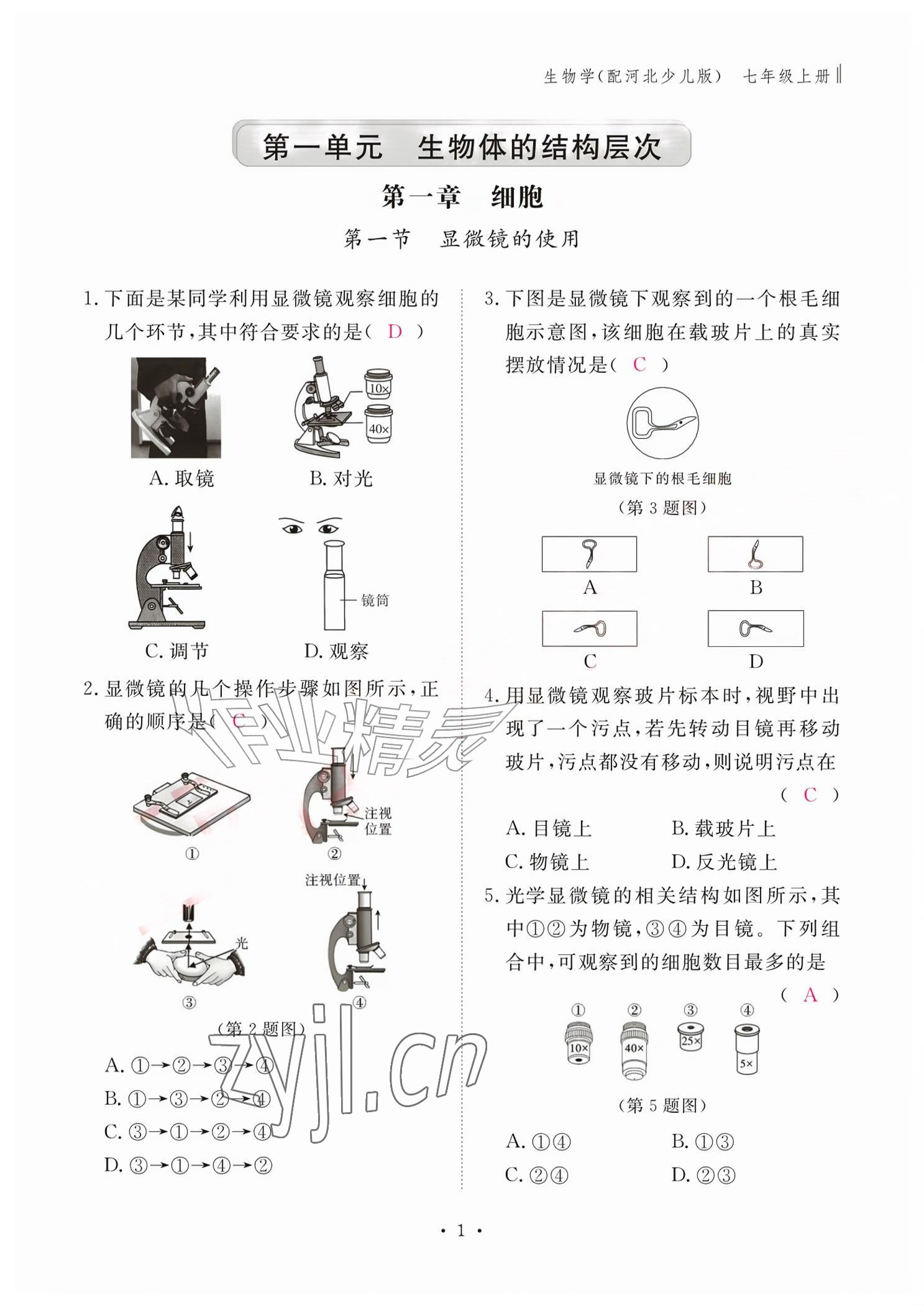 2026年作业本江西教育出版社七年级生物上册冀少版&nbsp;参考答案第1页
