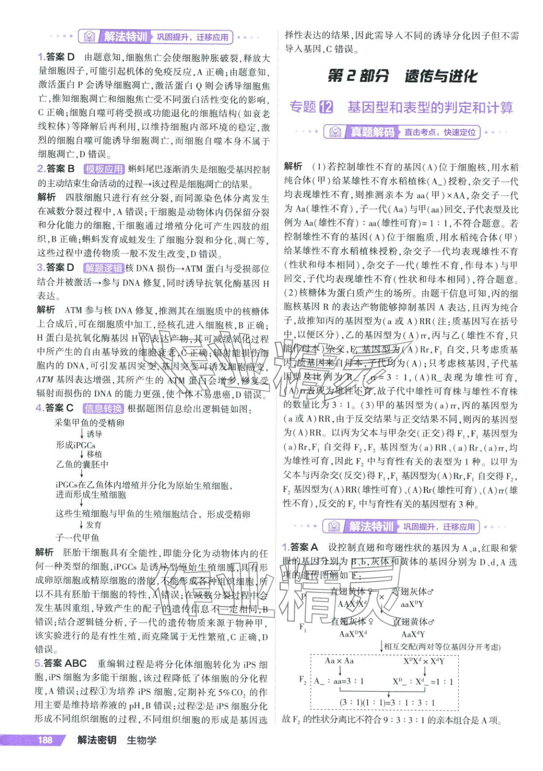 2026年53解法密钥高考生物 第10页