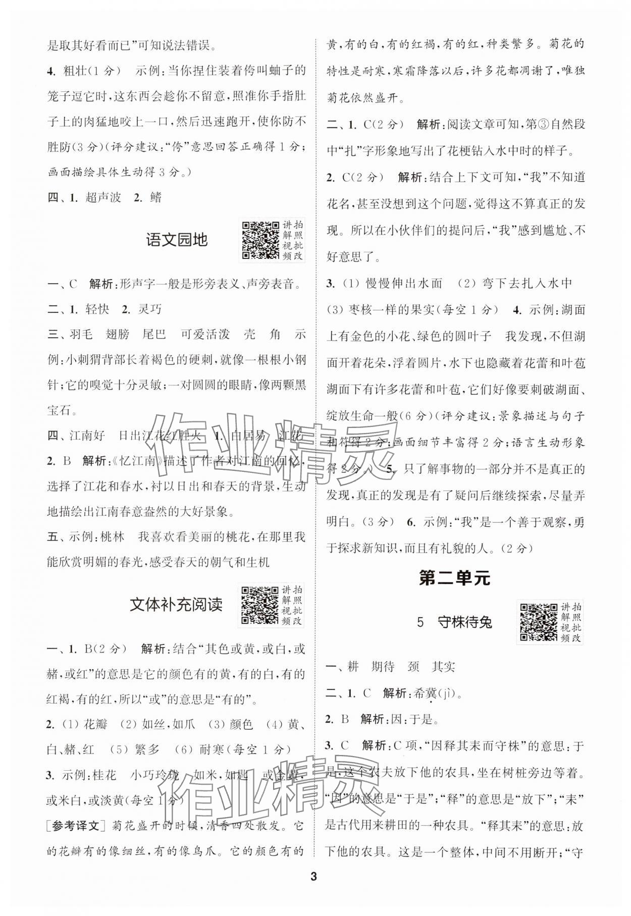 2025年拔尖特訓(xùn)三年級語文下冊人教版江蘇專版 第3頁