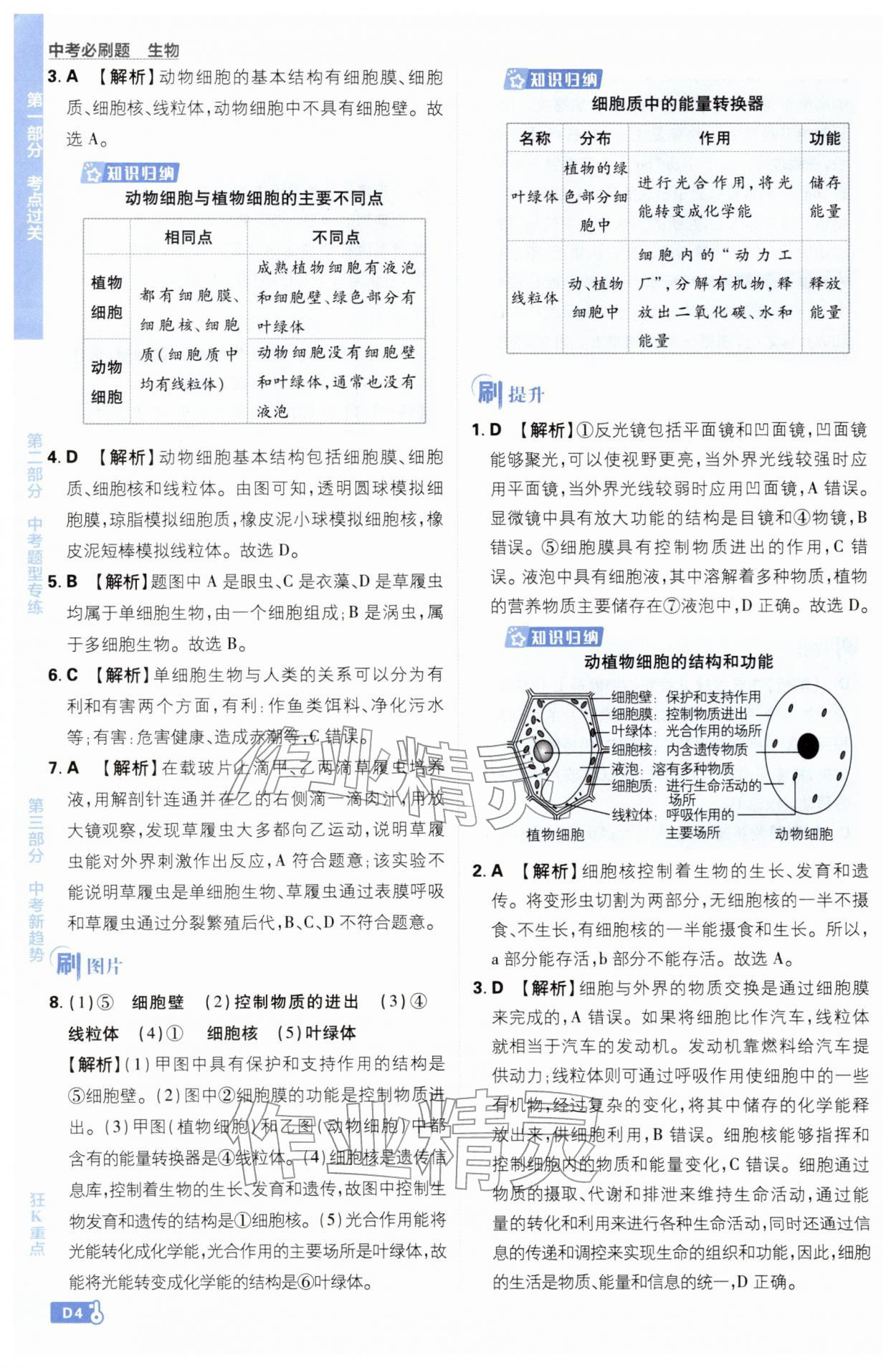 2026年中考必刷题开明出版社生物&nbsp;第4页