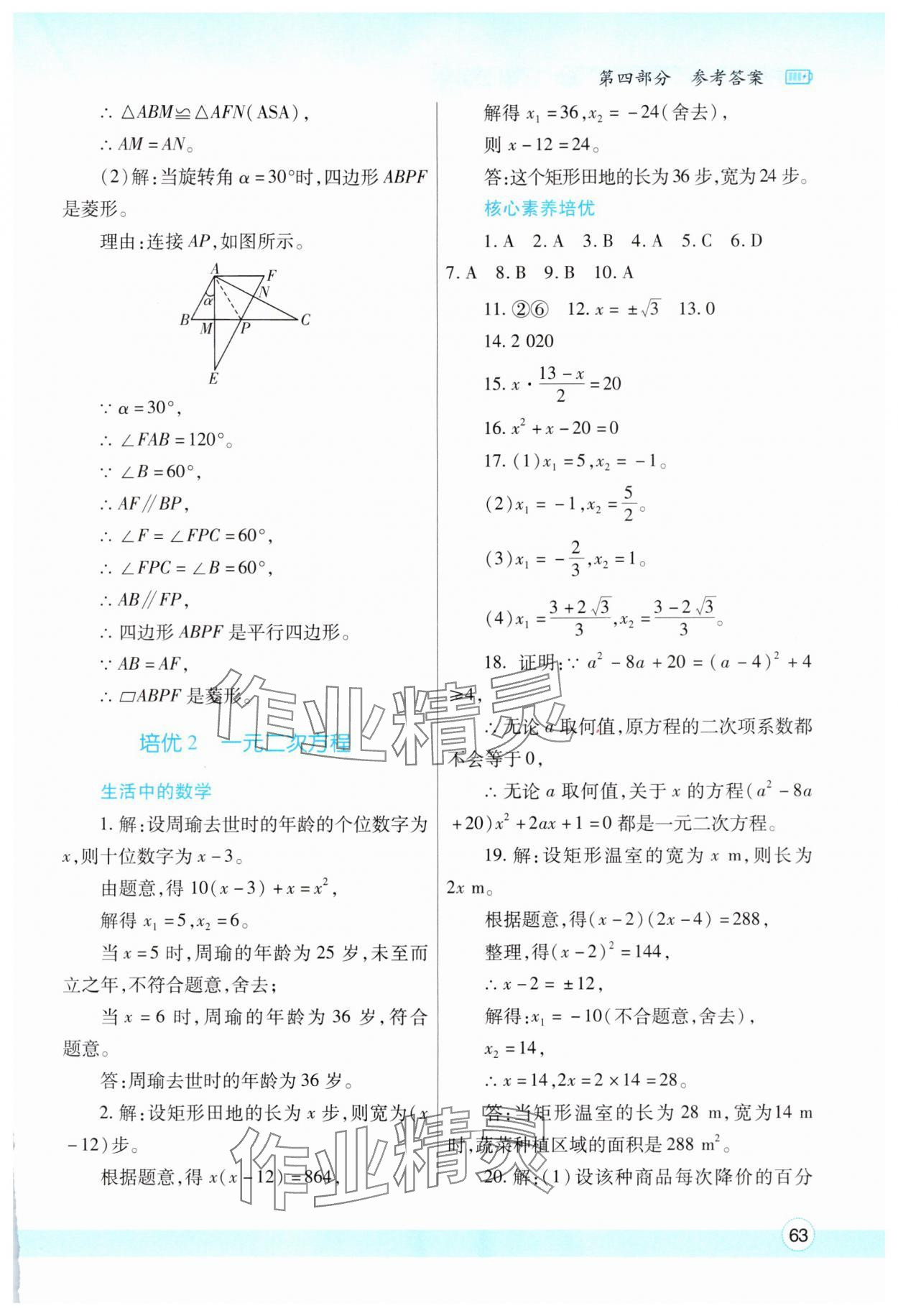 2025年寒假作业与生活陕西师范大学出版总社九年级数学北师大版 第3页