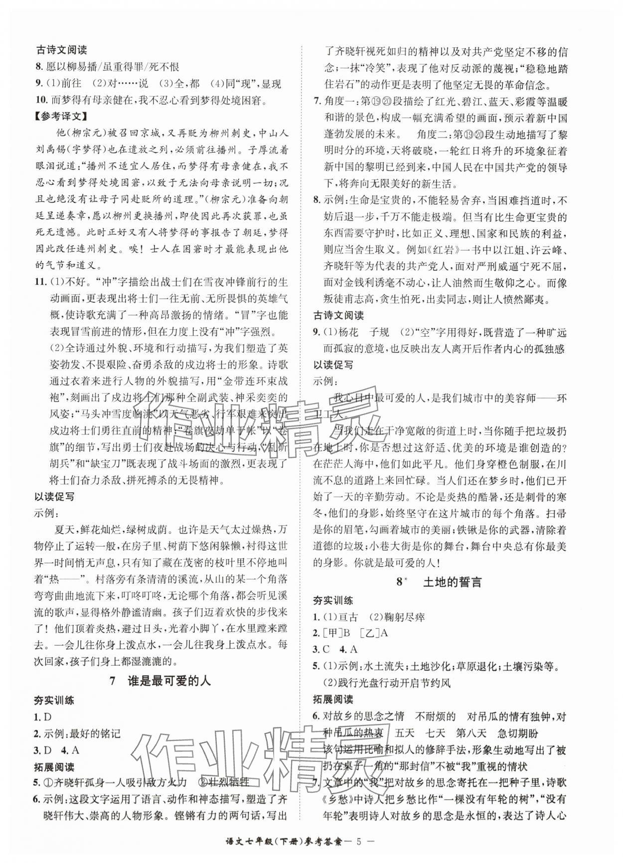 2024年名師金典BFB初中課時優(yōu)化七年級語文下冊人教版 參考答案第5頁