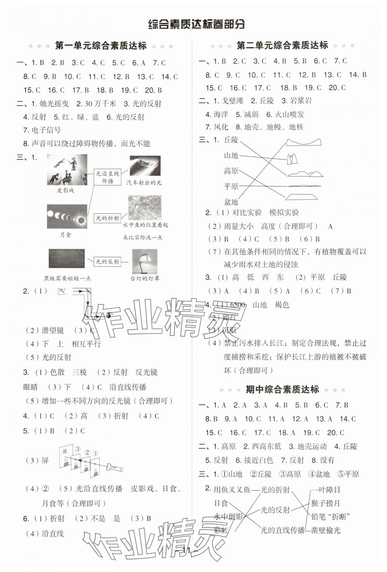 2025年綜合應(yīng)用創(chuàng)新題典中點(diǎn)五年級科學(xué)上冊教科版 參考答案第11頁