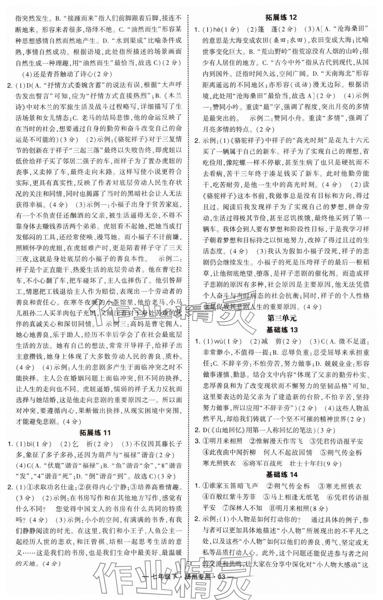 2025年學霸組合訓練七年級語文下冊人教版揚州專版 第3頁