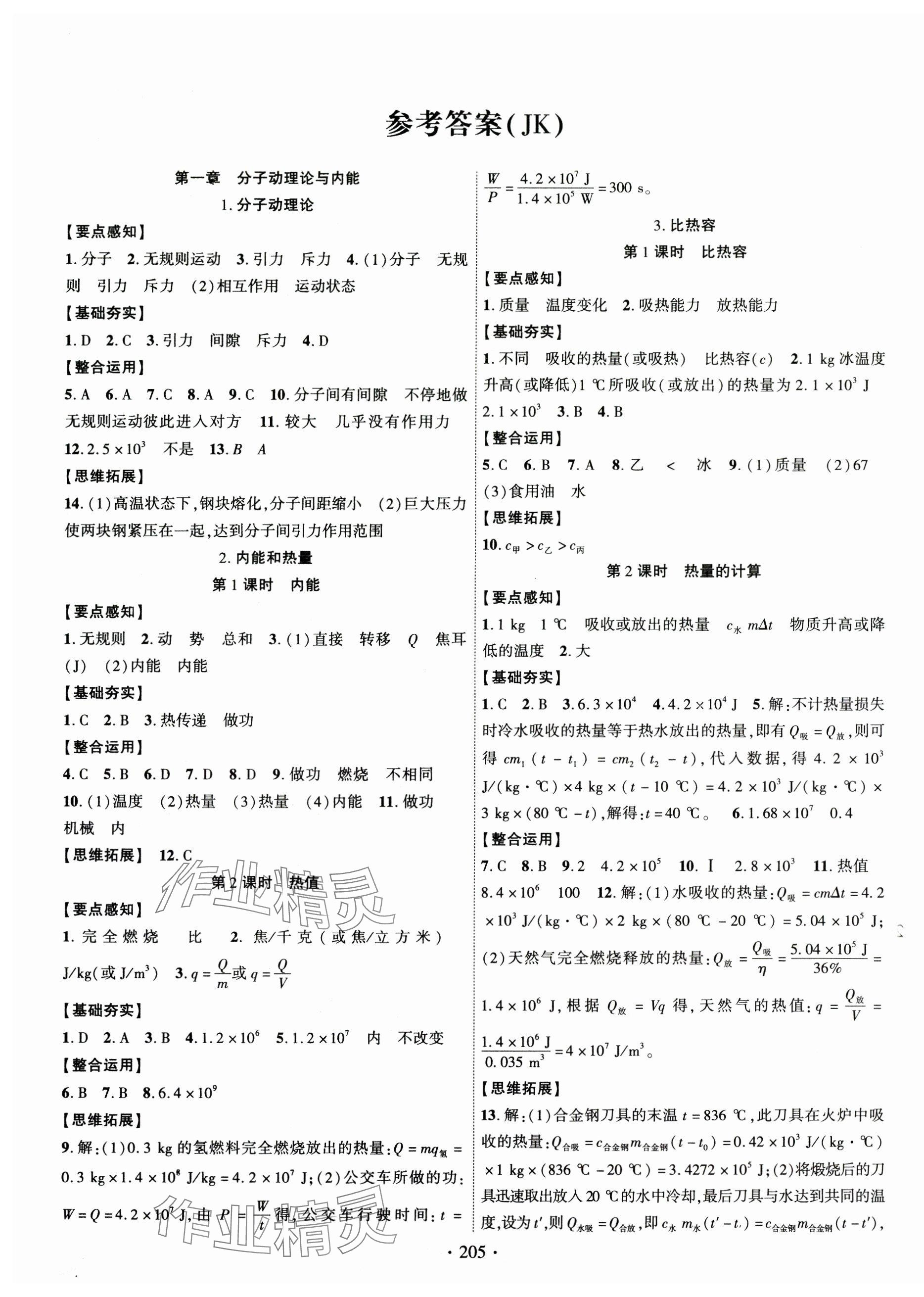 2024年课时掌控九年级物理全一册教科版 第1页