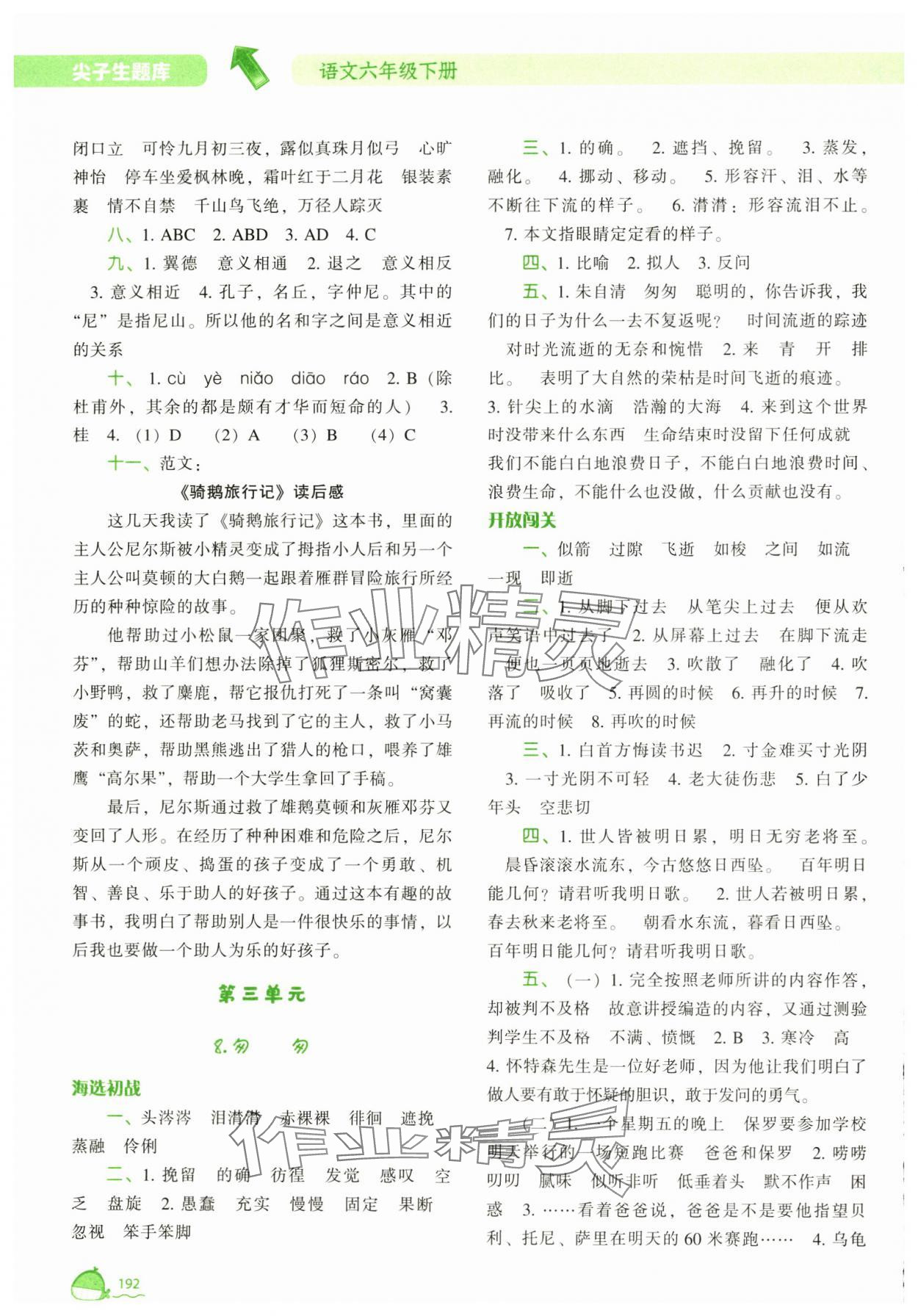 2025年尖子生題庫(kù)六年級(jí)語(yǔ)文下冊(cè) 參考答案第7頁(yè)