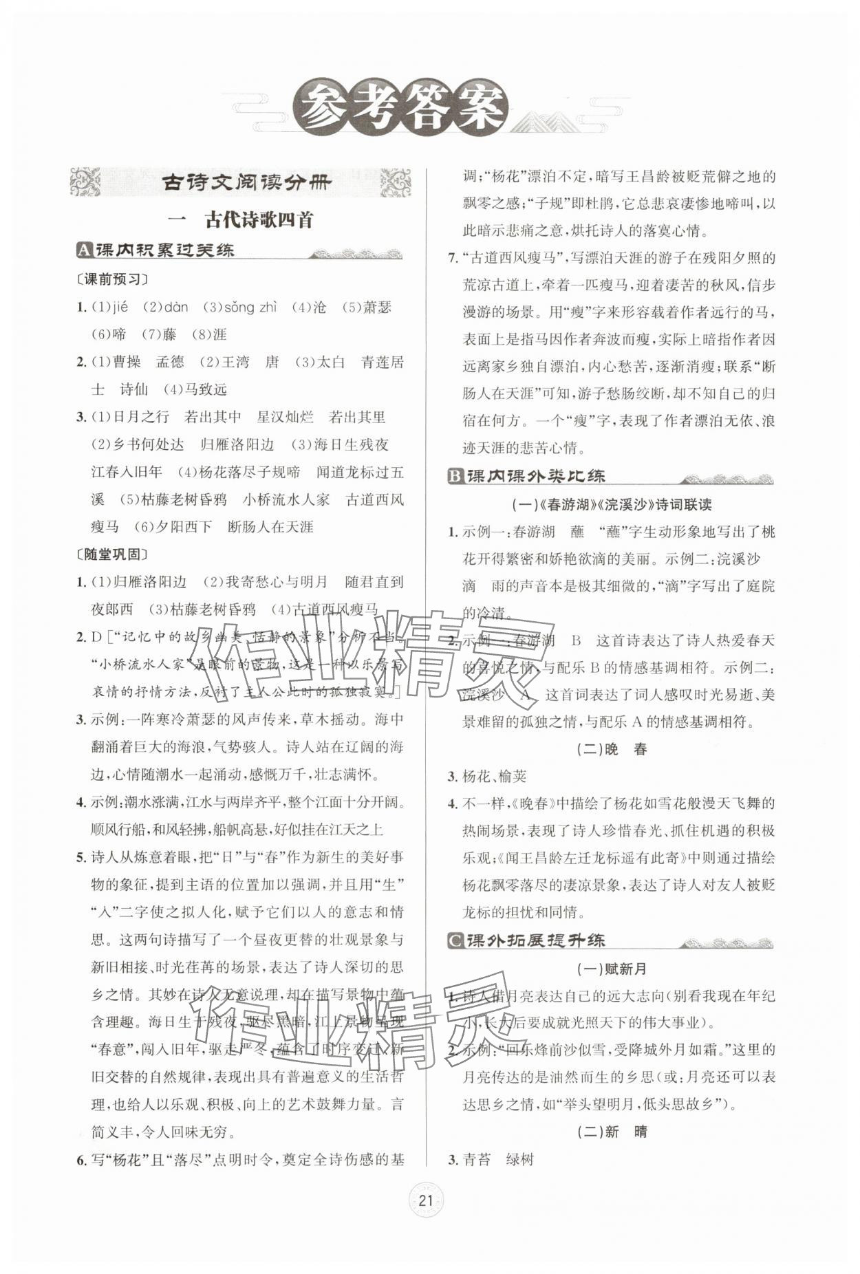 2024年古詩(shī)文與名著閱讀七年級(jí)語(yǔ)文上冊(cè)人教版 第1頁(yè)