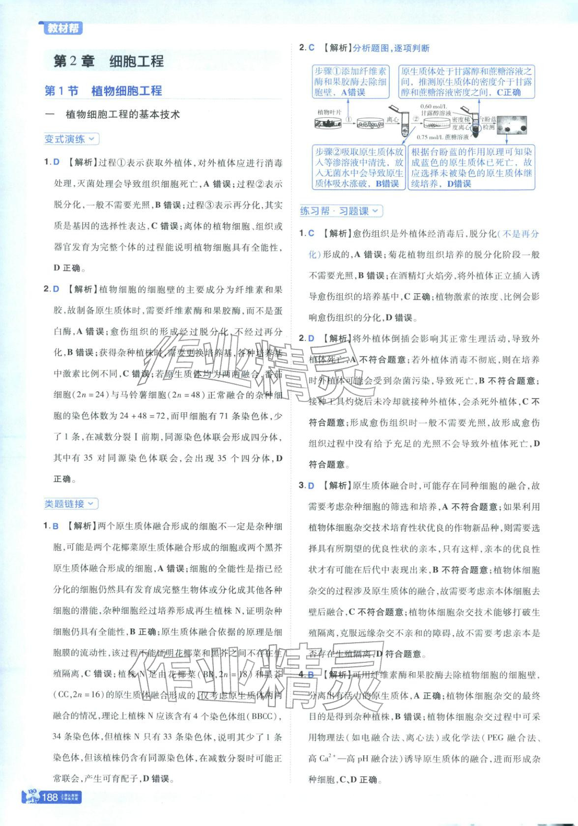 2025年教材幫高中生物選擇性必修第三冊人教版&nbsp;第11頁