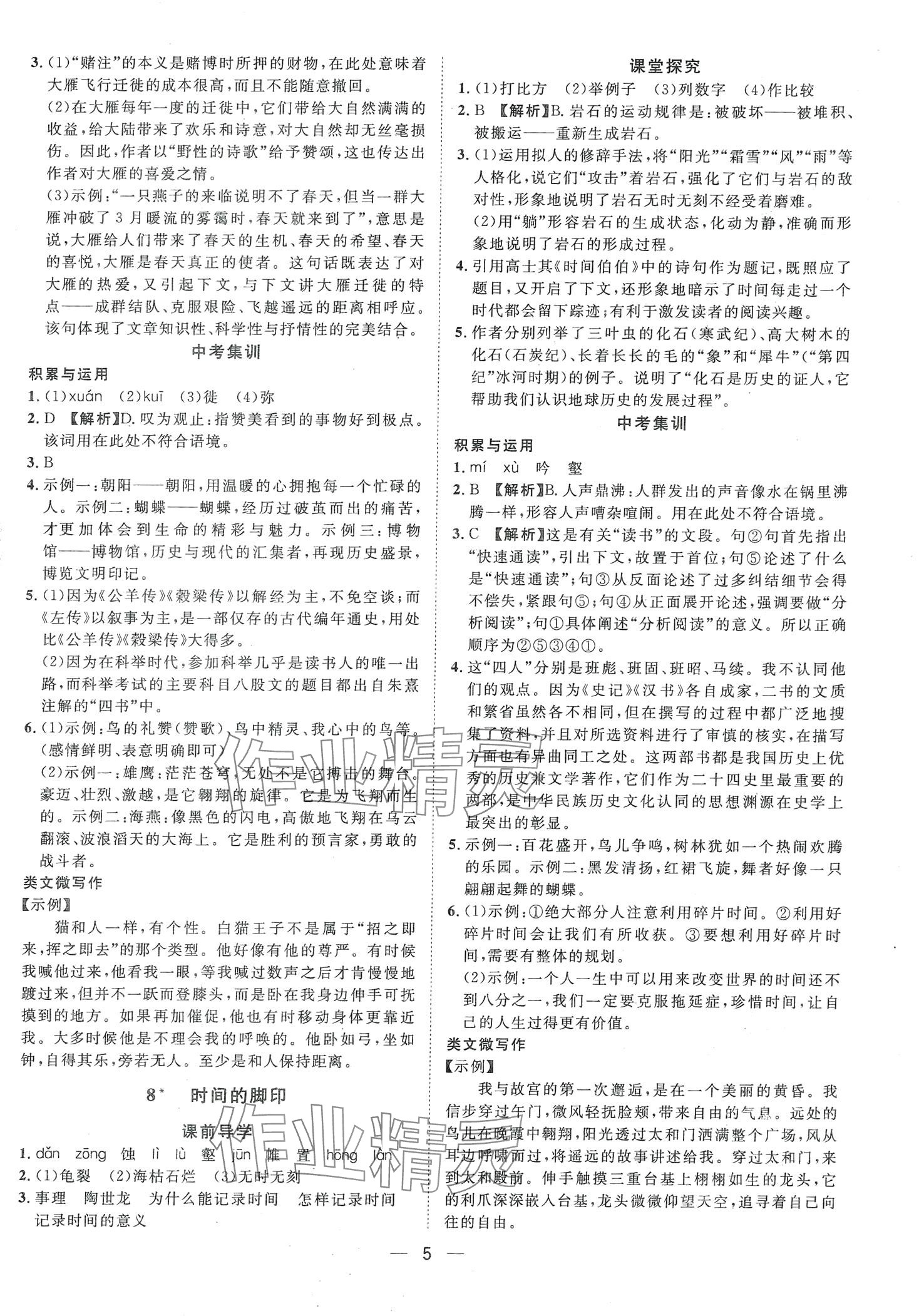 2024年名師課堂南方出版社八年級語文下冊人教版 第5頁