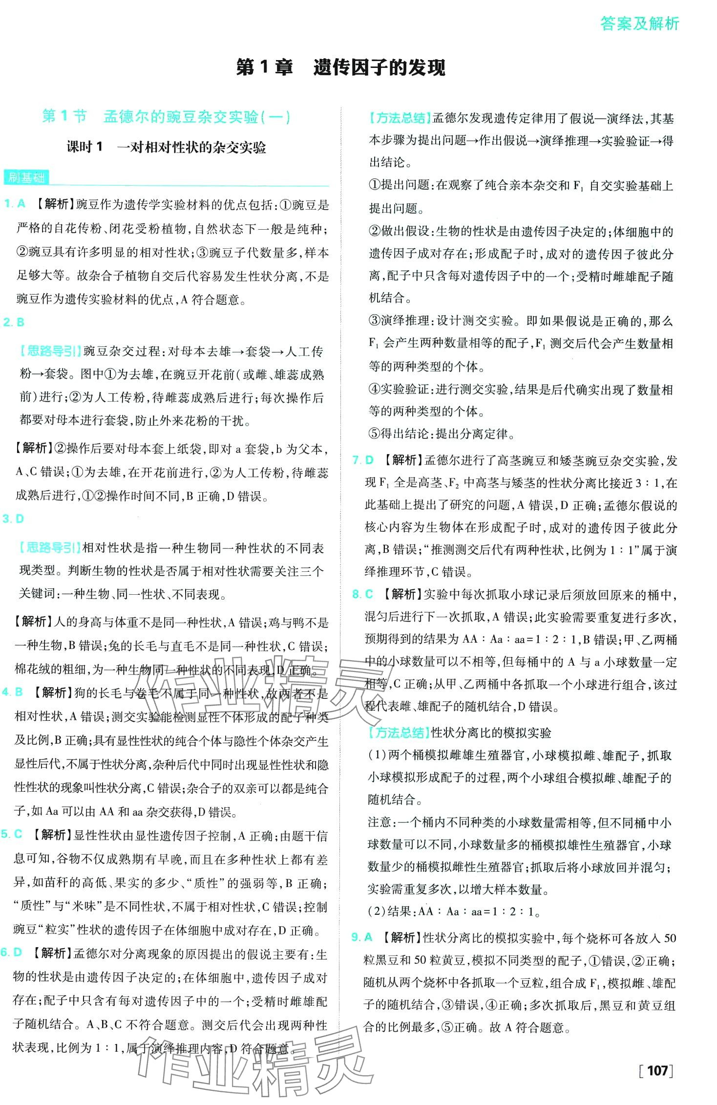 2024年高中必刷題高中生物必修2人教版 第2頁(yè)