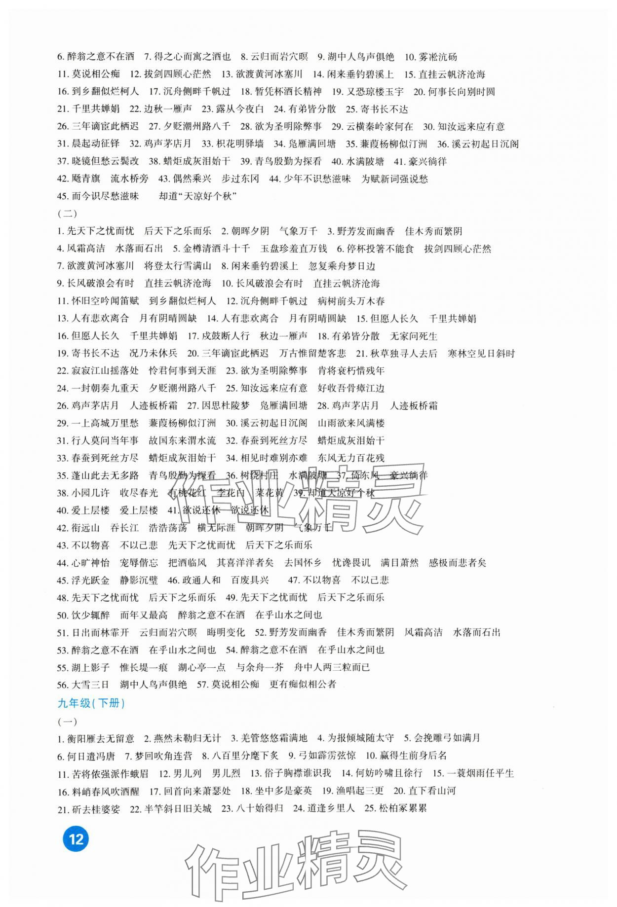 2024年中考總復(fù)習(xí)新疆文化出版社語(yǔ)文 第12頁(yè)