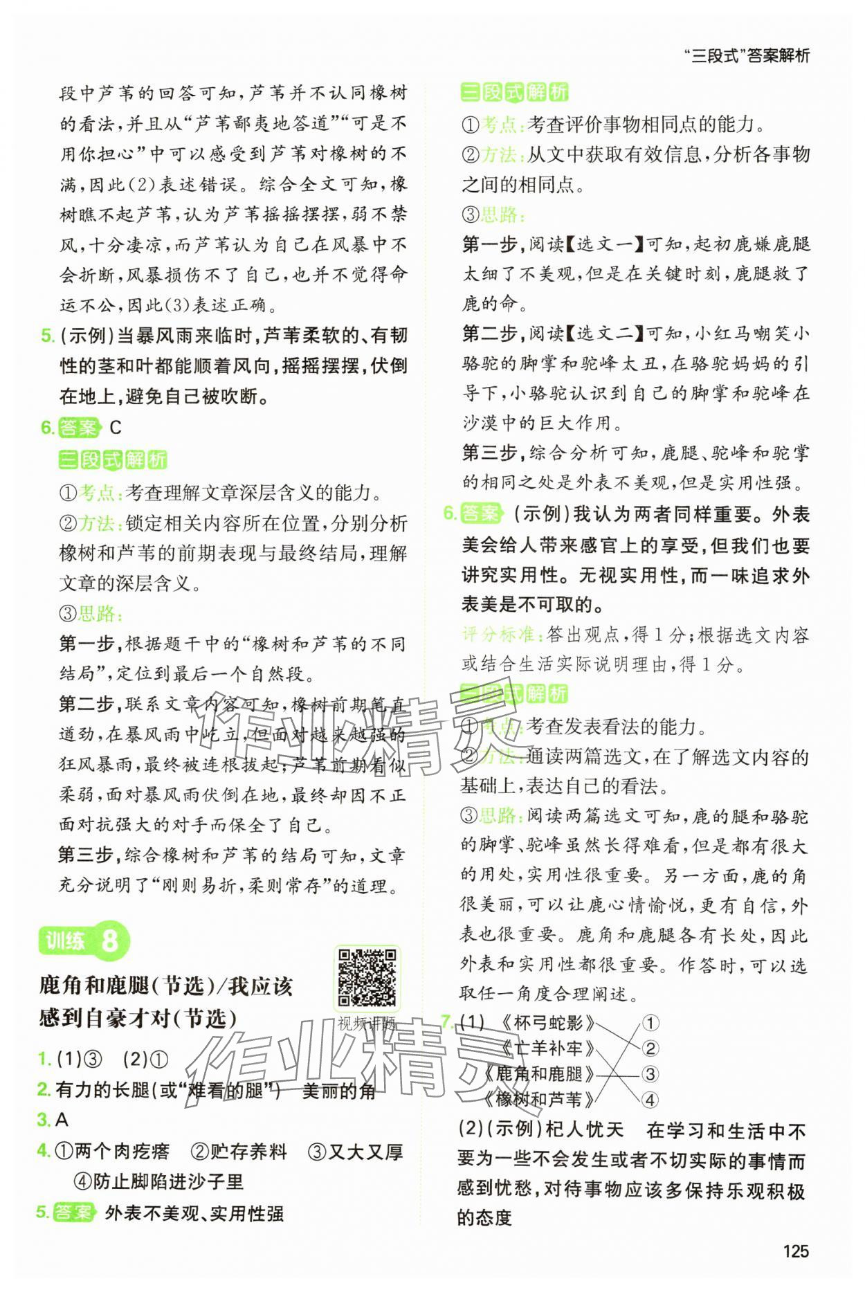 2025年一本閱讀能力訓(xùn)練100分三年級語文人教版浙江專版 參考答案第5頁