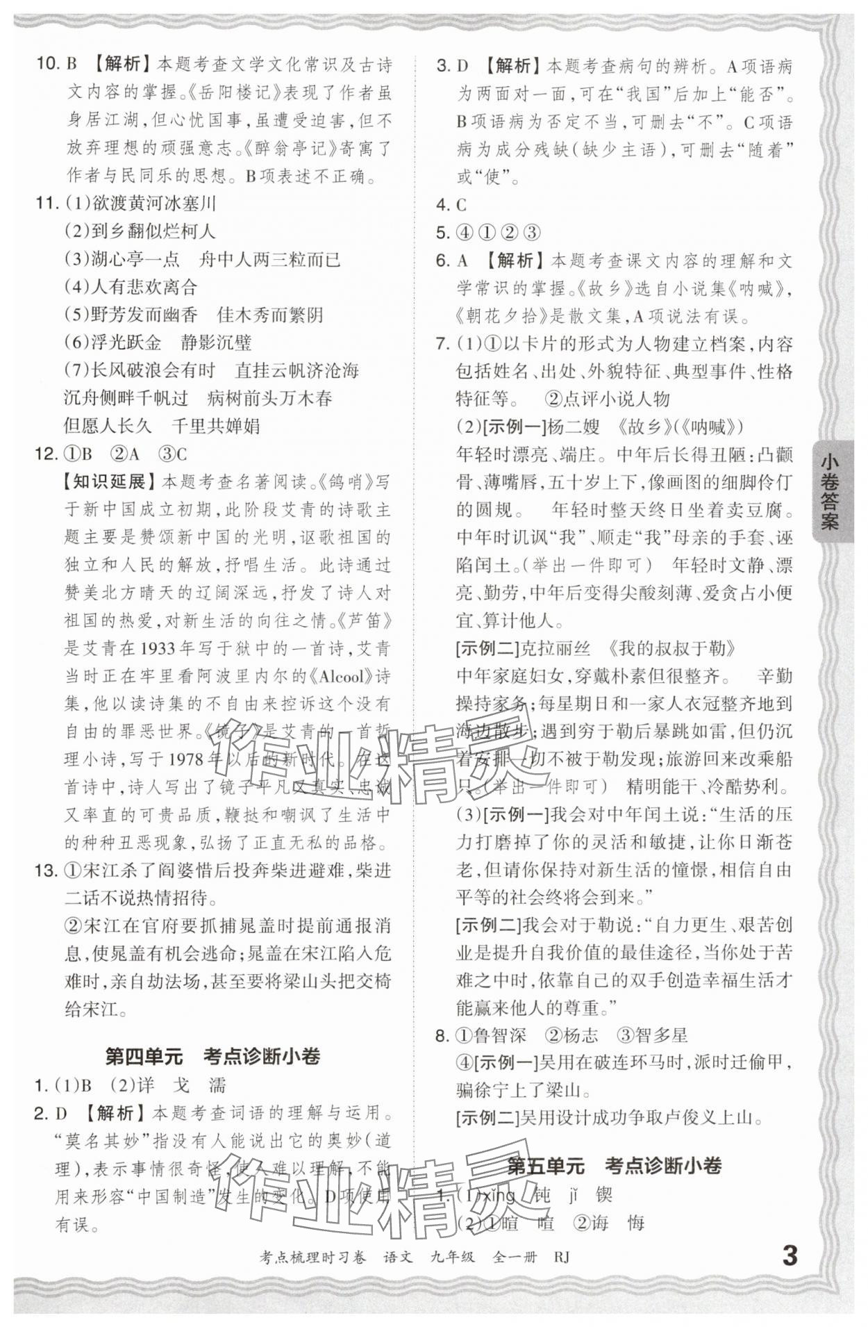 2024年王朝霞考點(diǎn)梳理時習(xí)卷九年級語文全一冊人教版 第3頁