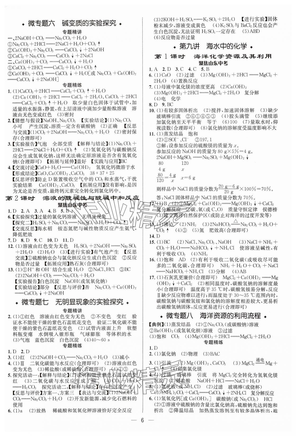 2024年中考對(duì)策化學(xué)魯教版 參考答案第6頁(yè)
