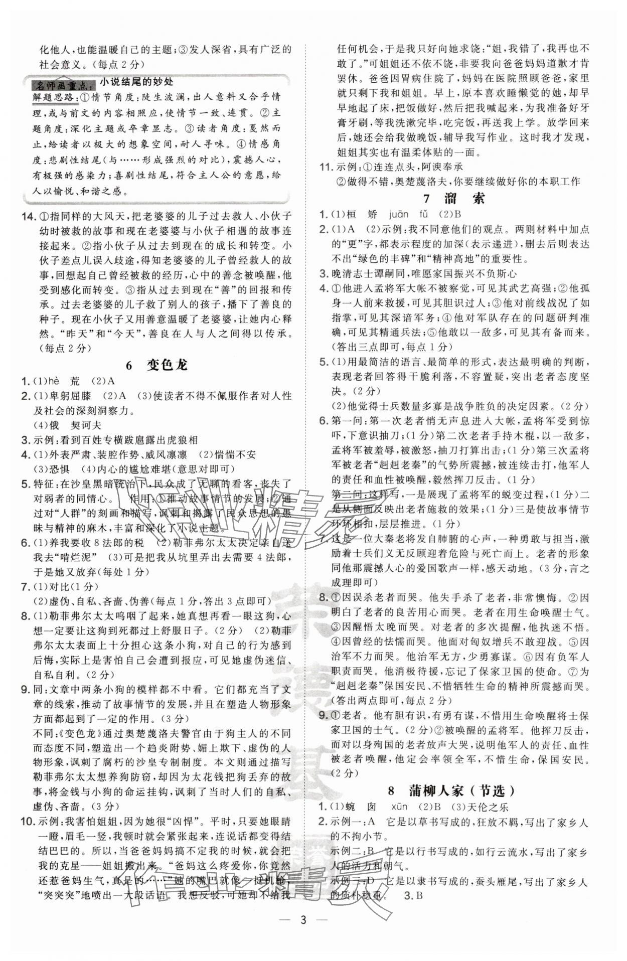 2025年點(diǎn)撥訓(xùn)練九年級(jí)語(yǔ)文下冊(cè)人教版寧夏專版 第3頁(yè)