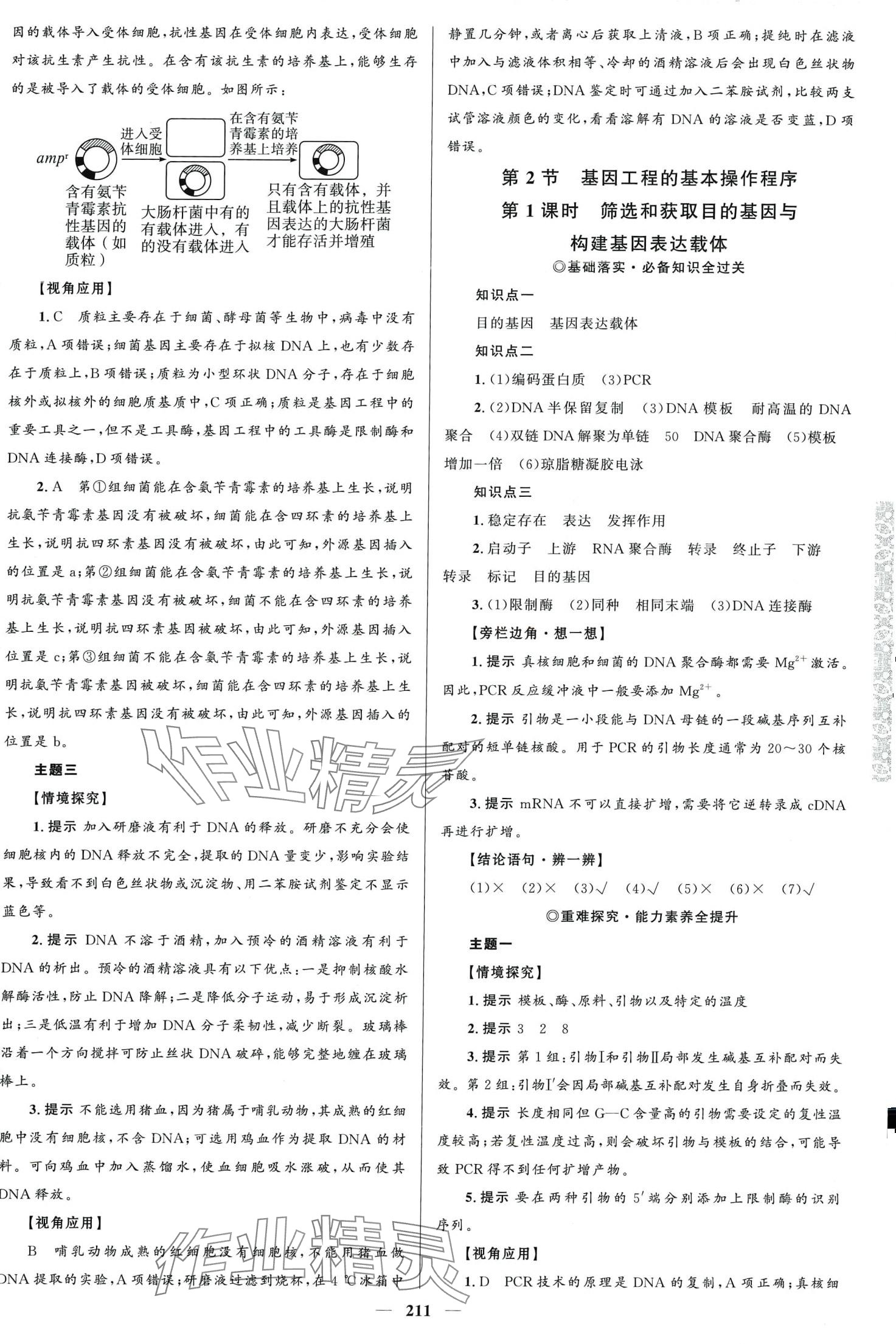 2024年高中同步學(xué)案優(yōu)化設(shè)計高中生物選擇性必修3人教版 第14頁